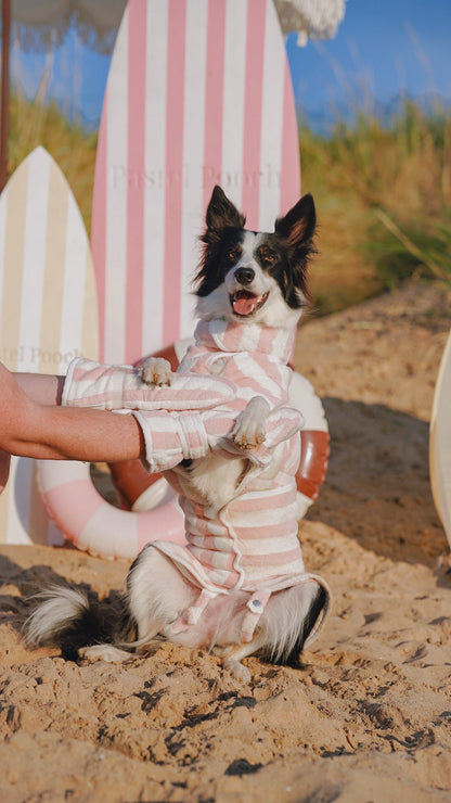 Pastel Pooch Boutique ® Dog Drying Gloves