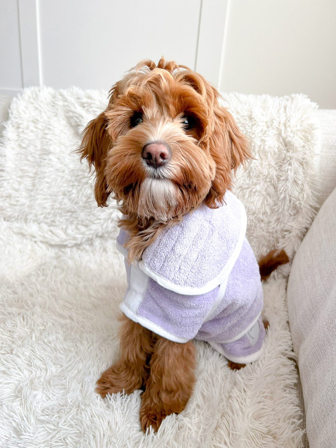 Pastel Pooch Boutique ® Dog Drying Coat (Gen 1 - The Original) Clearance Sale