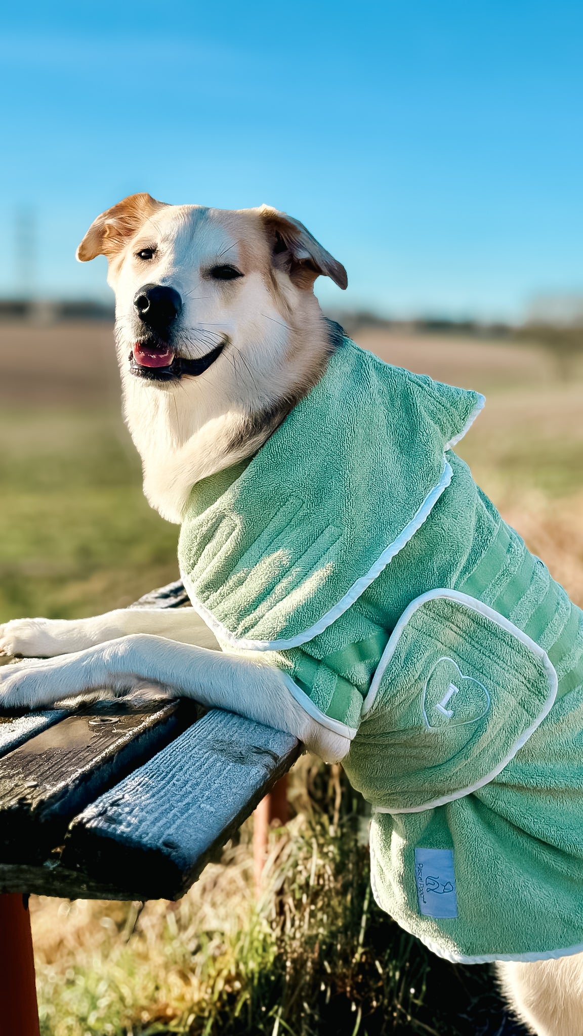 Personalised dog dressing clearance gown