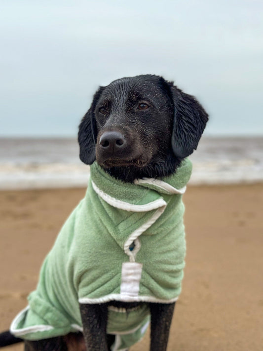 Pastel Pooch® Dog Drying Coat (Sage Green)