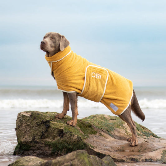 Pastel Pooch® Dog Drying Coat (Mustard)