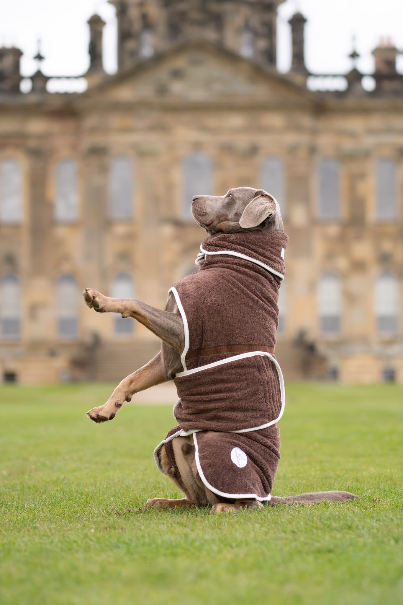 Pastel Pooch® Dog Drying Coat (Gen 2- The Modified)