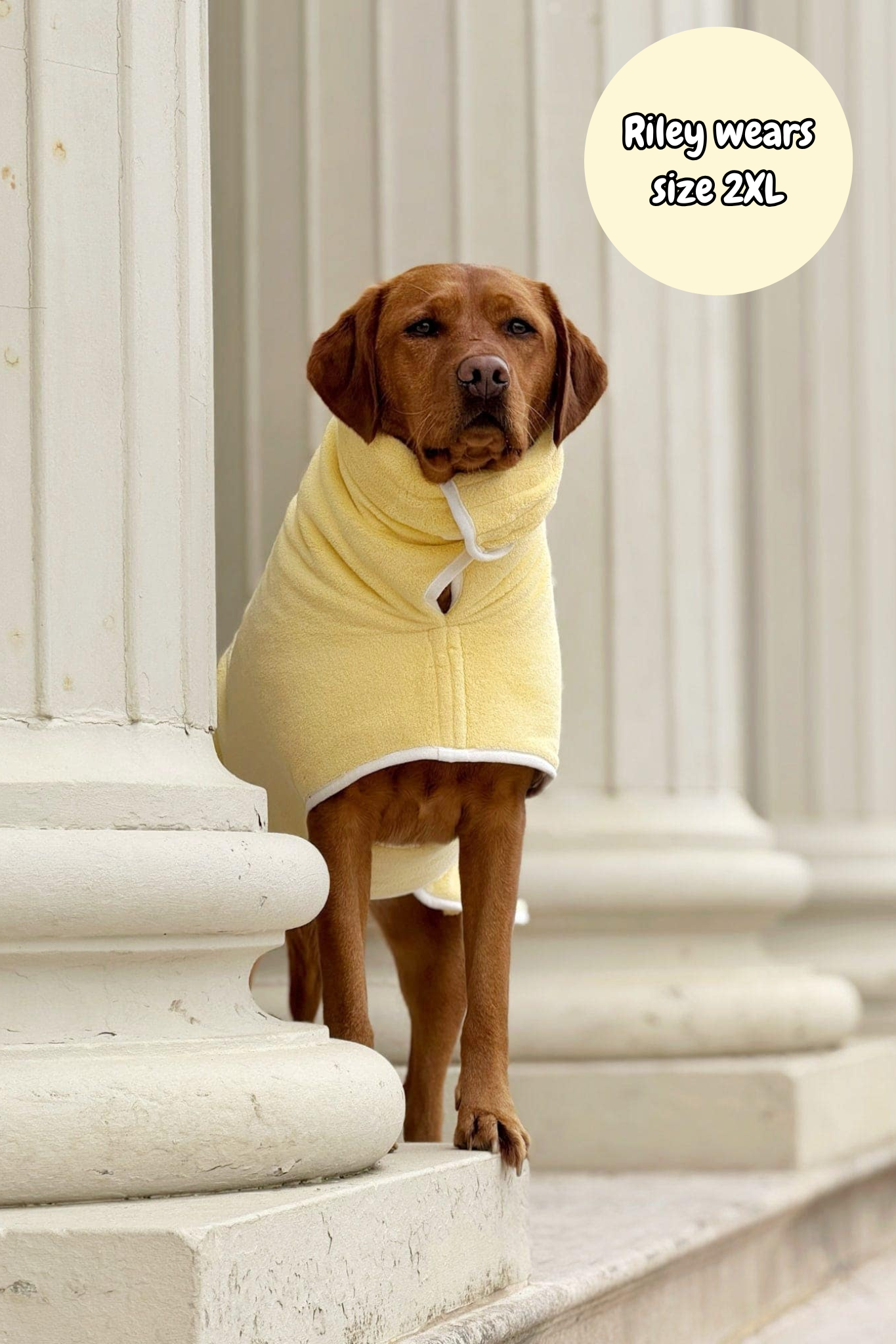 Pastel Pooch Boutique ® Dog Drying Coat