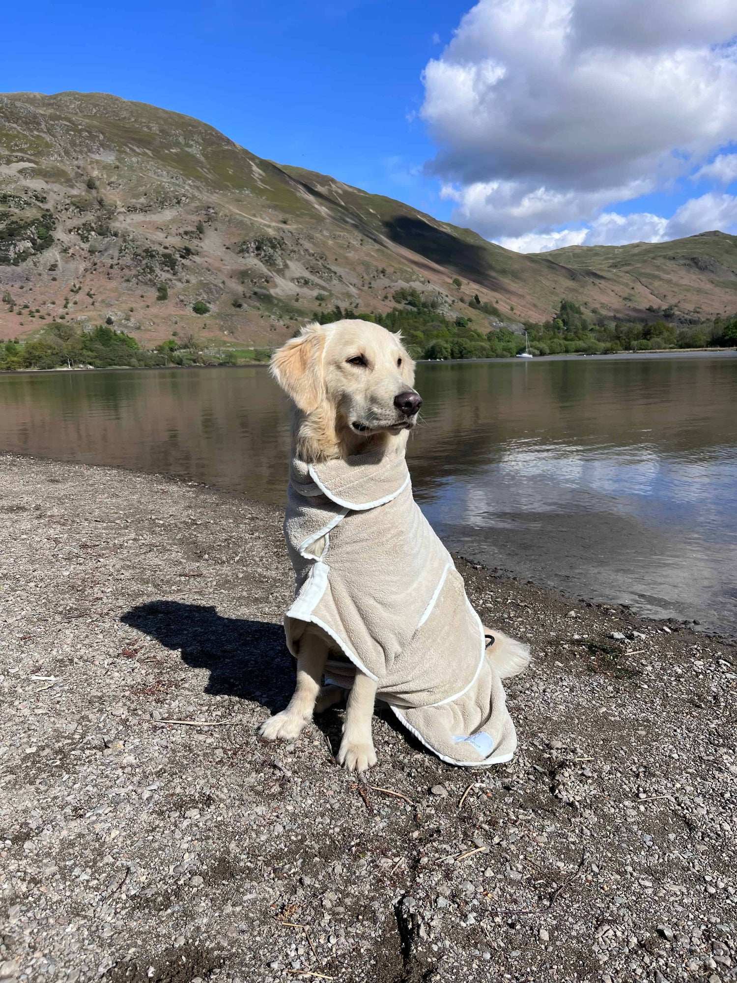 Beige Dog Drying Coat