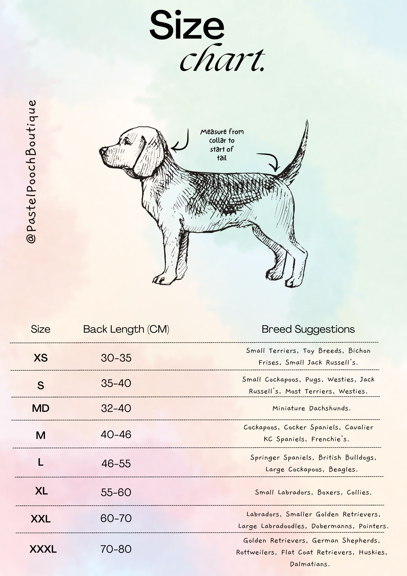 Pooch boutique online
