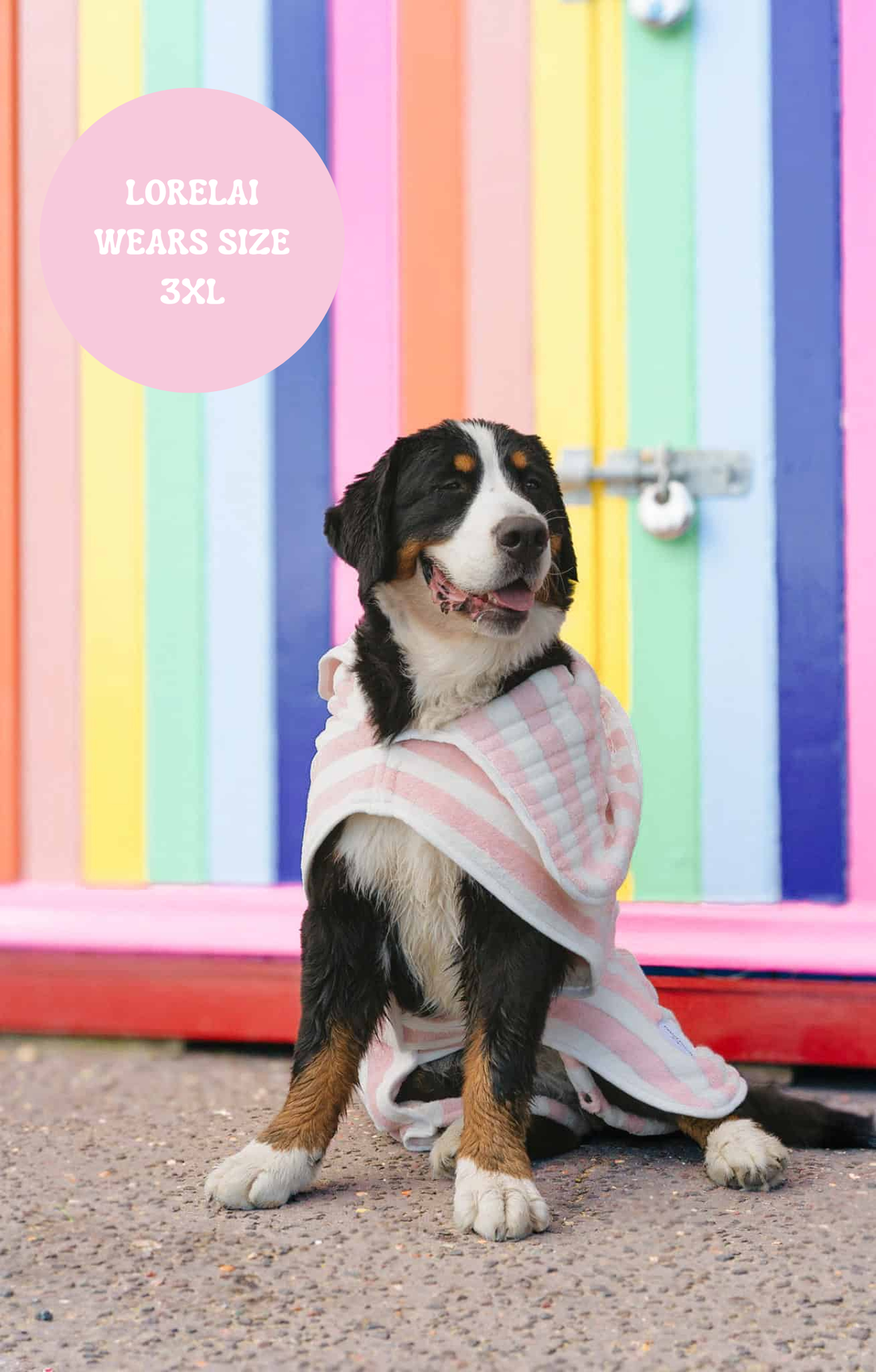 The Striped Collection - Luxury Dog Drying Robes