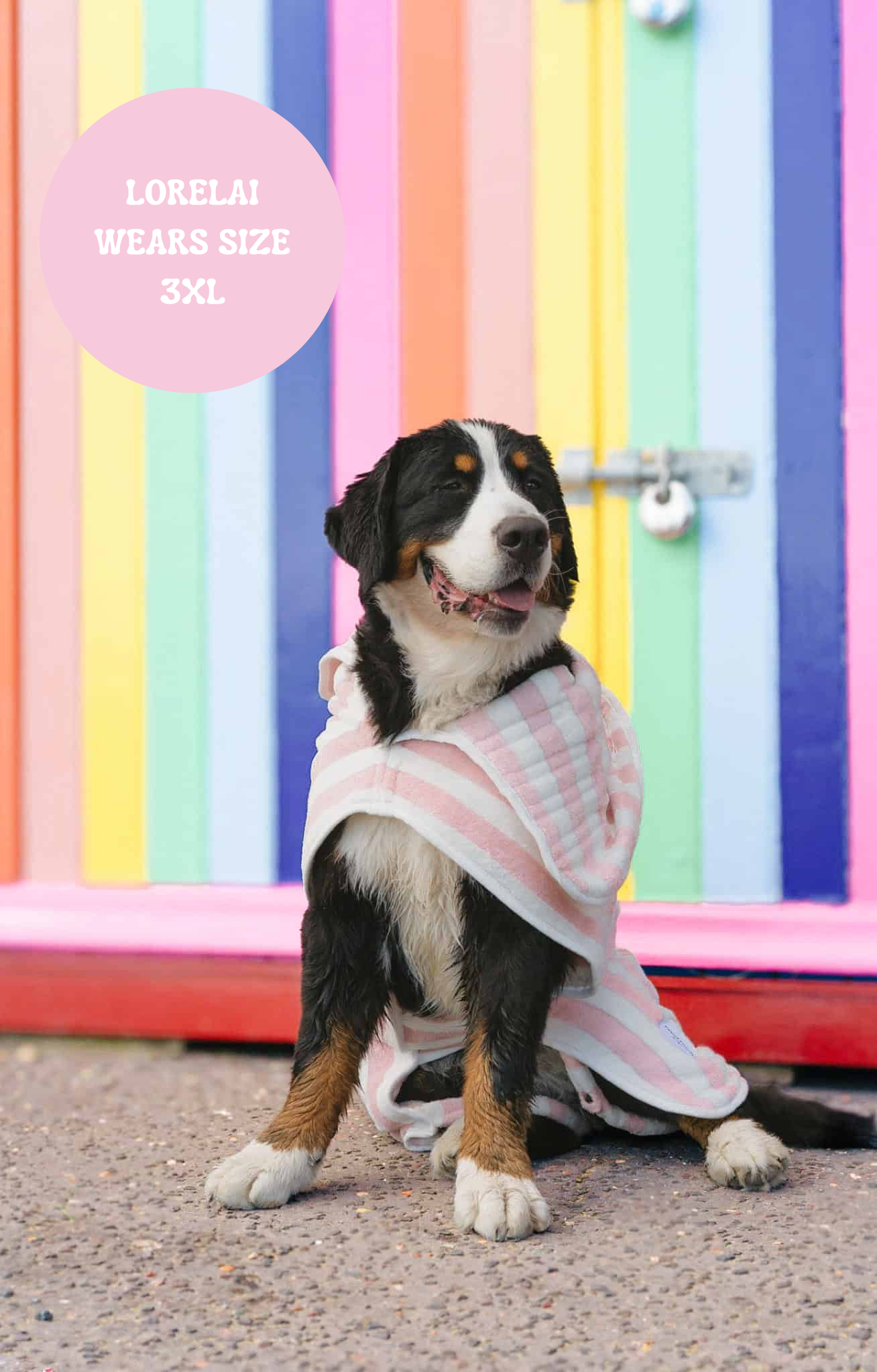 The Striped Collection - Luxury Dog Drying Robes