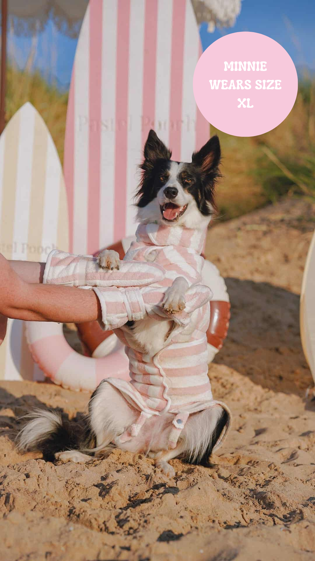 The Striped Collection - Luxury Dog Drying Robes