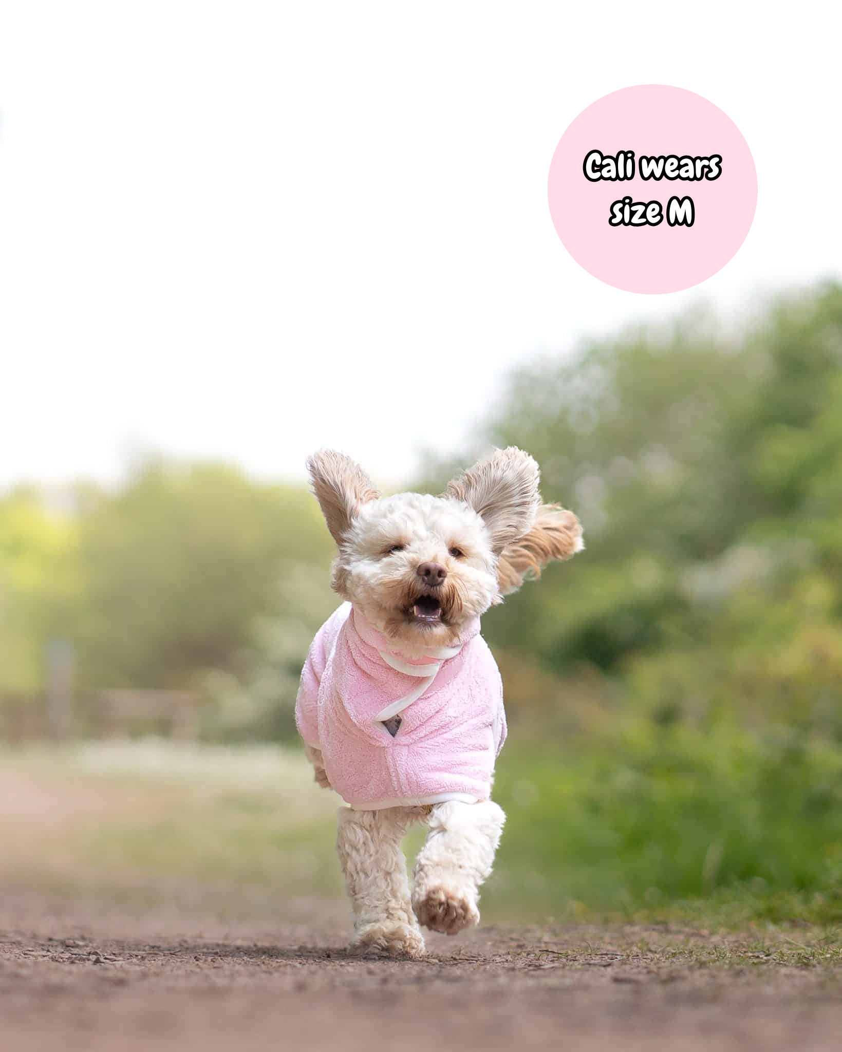 Pastel Pooch Boutique ® Dog Drying Coat
