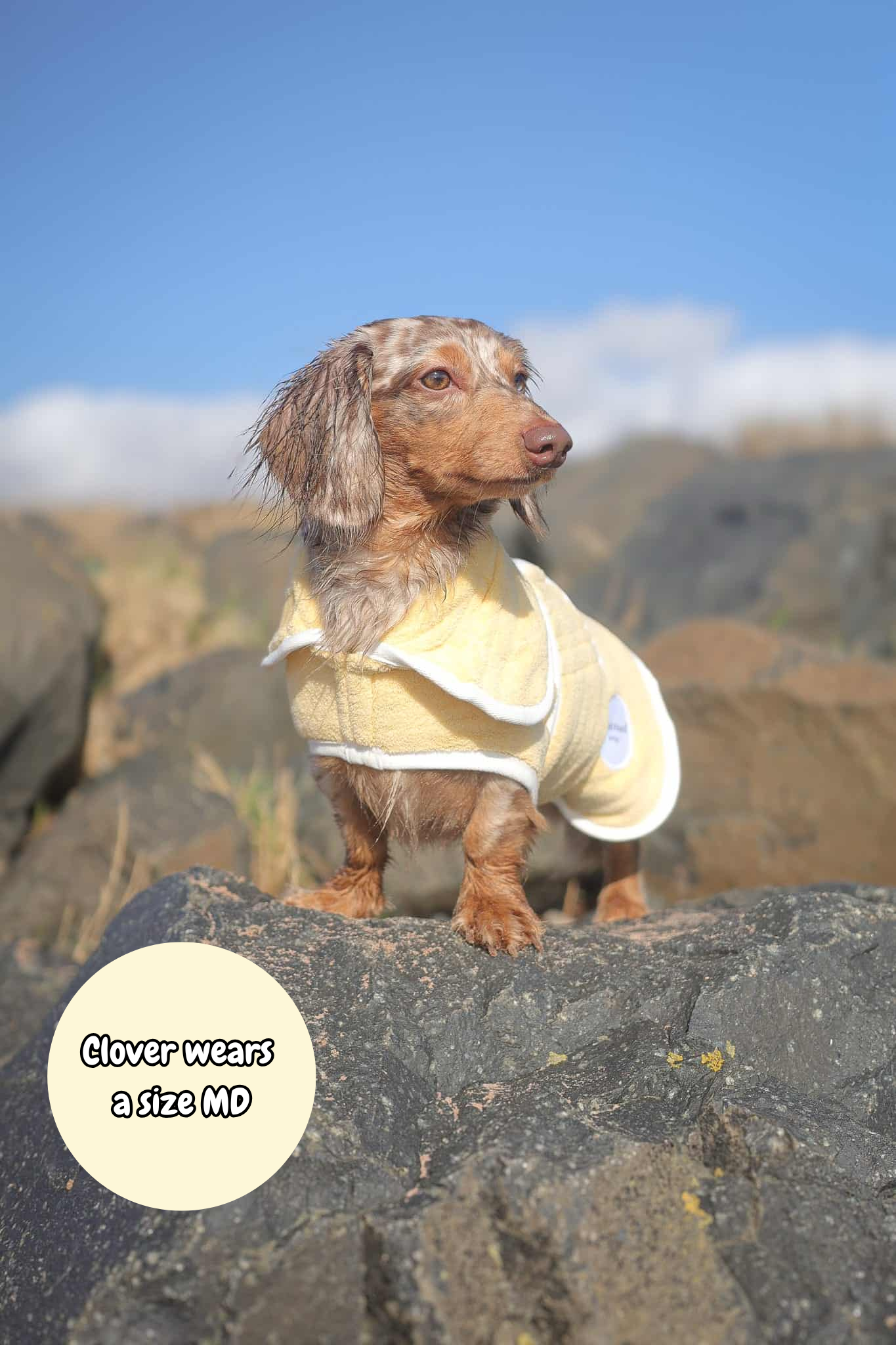Pastel Pooch Boutique ® Dog Drying Coat