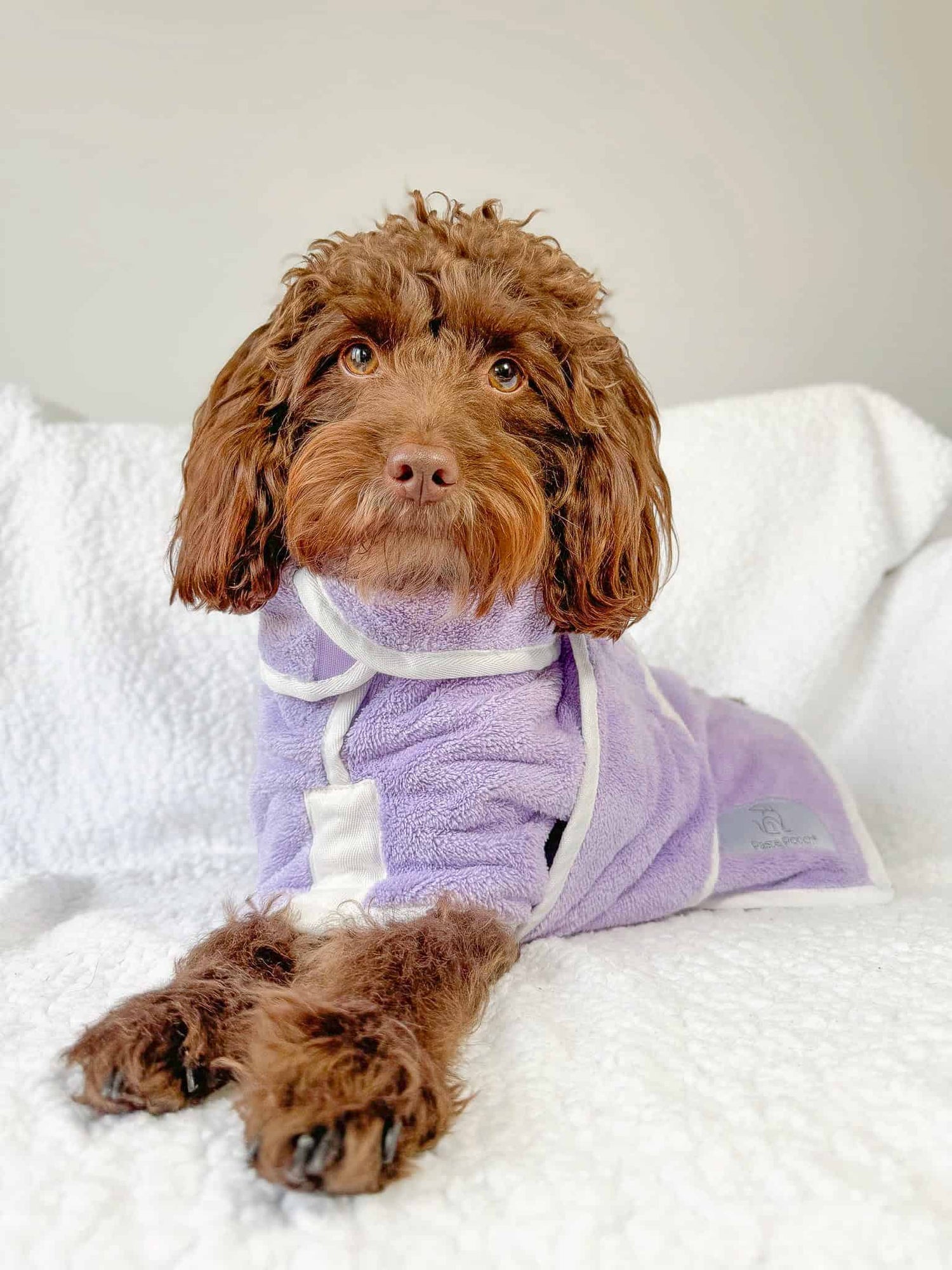 Cockapoo Lilac Dog Drying Robe