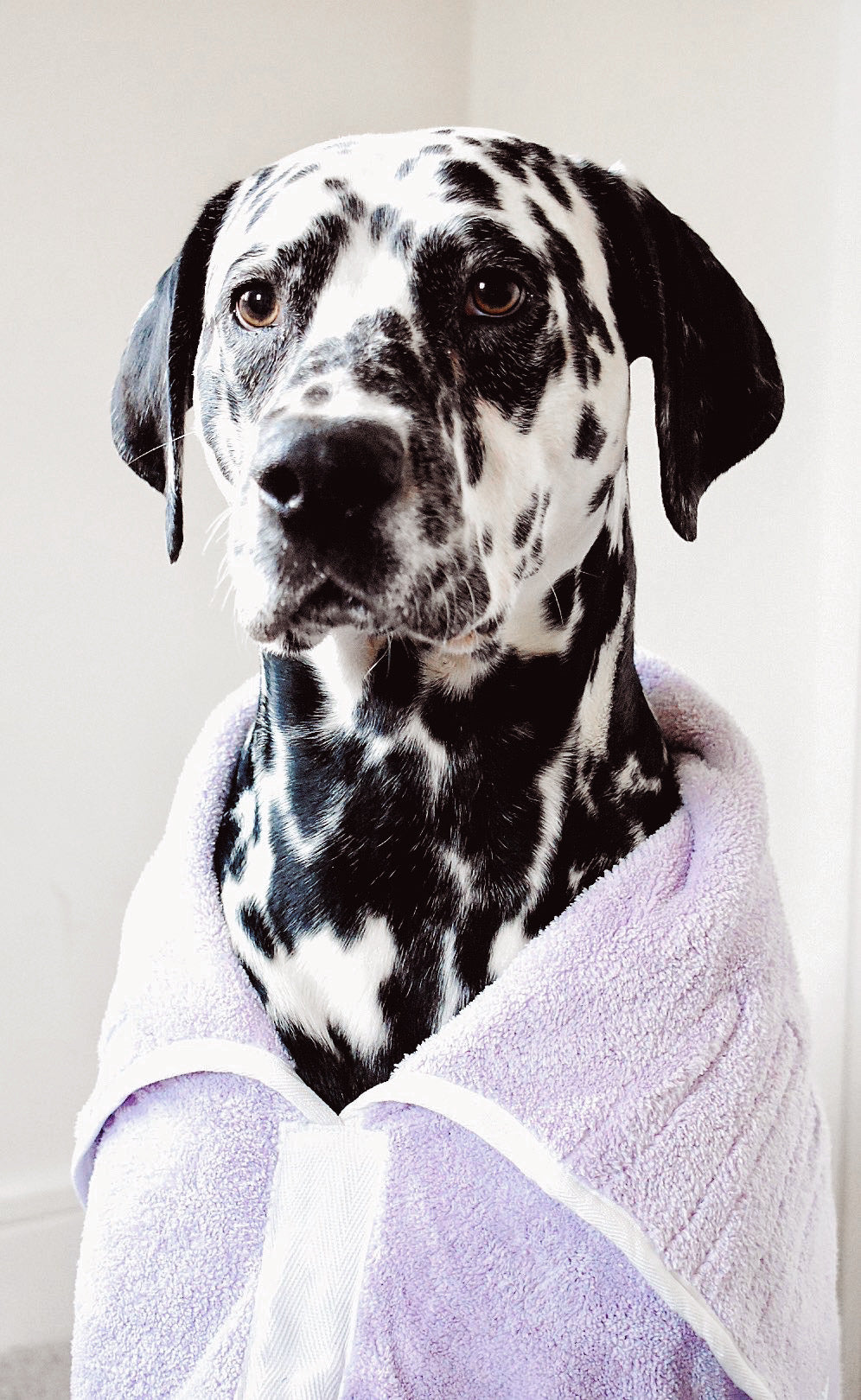 Dalmation Lilac Robe