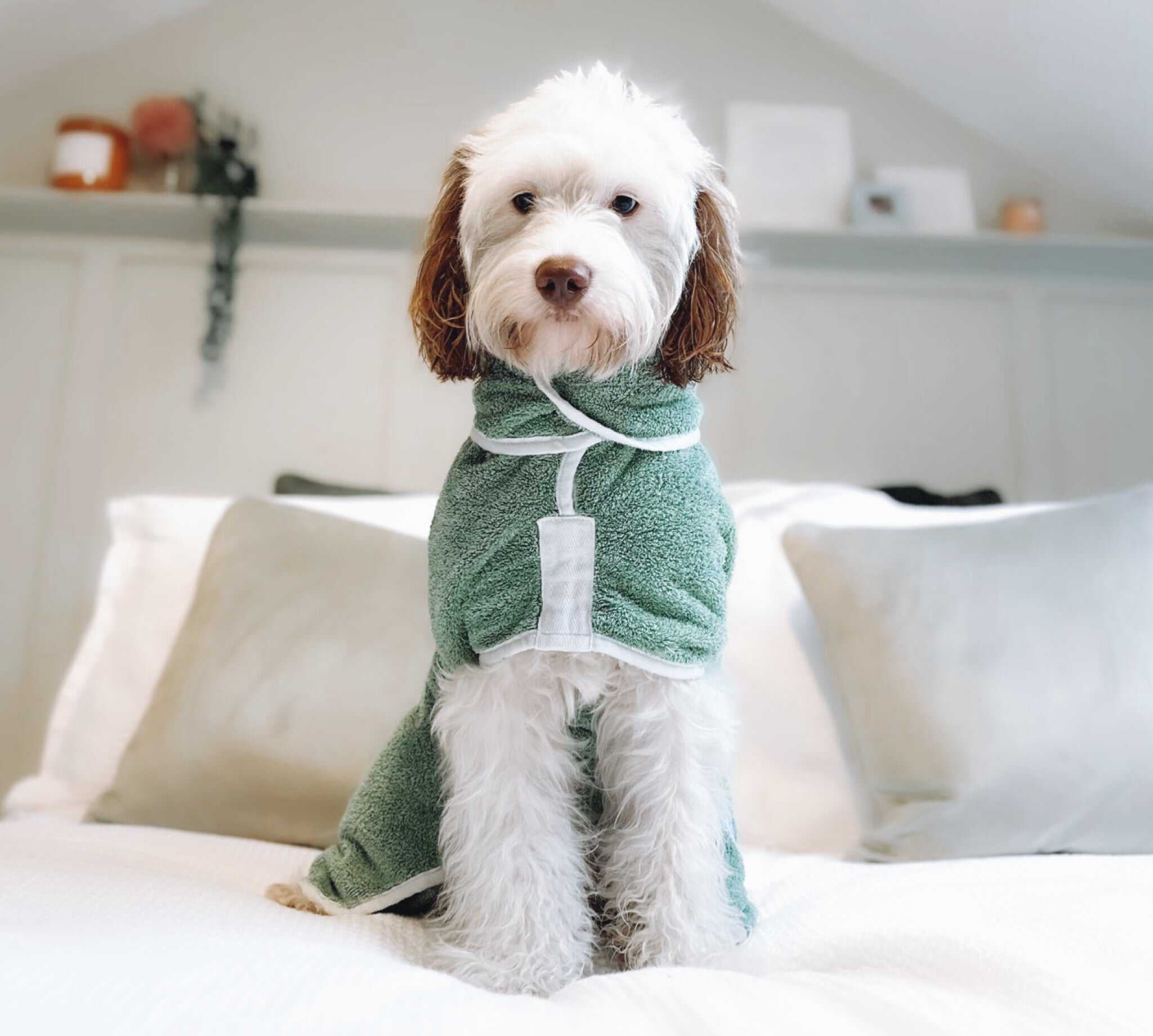 Green Dog Bathrobe