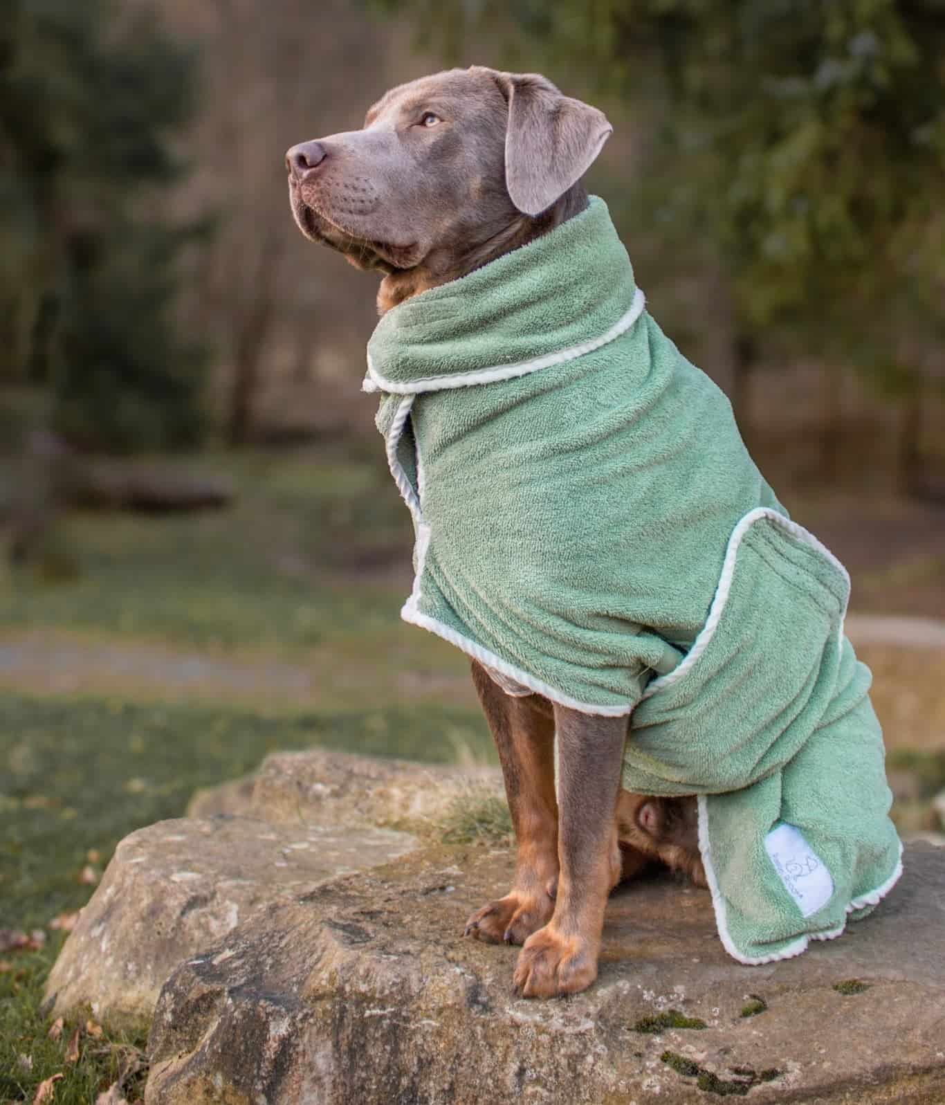 Green Dog Drying Coat