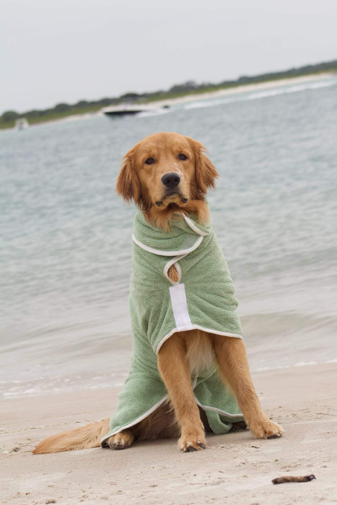 Green Dog Drying Robe