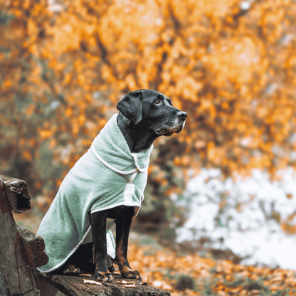 Green Dog Drying Coat