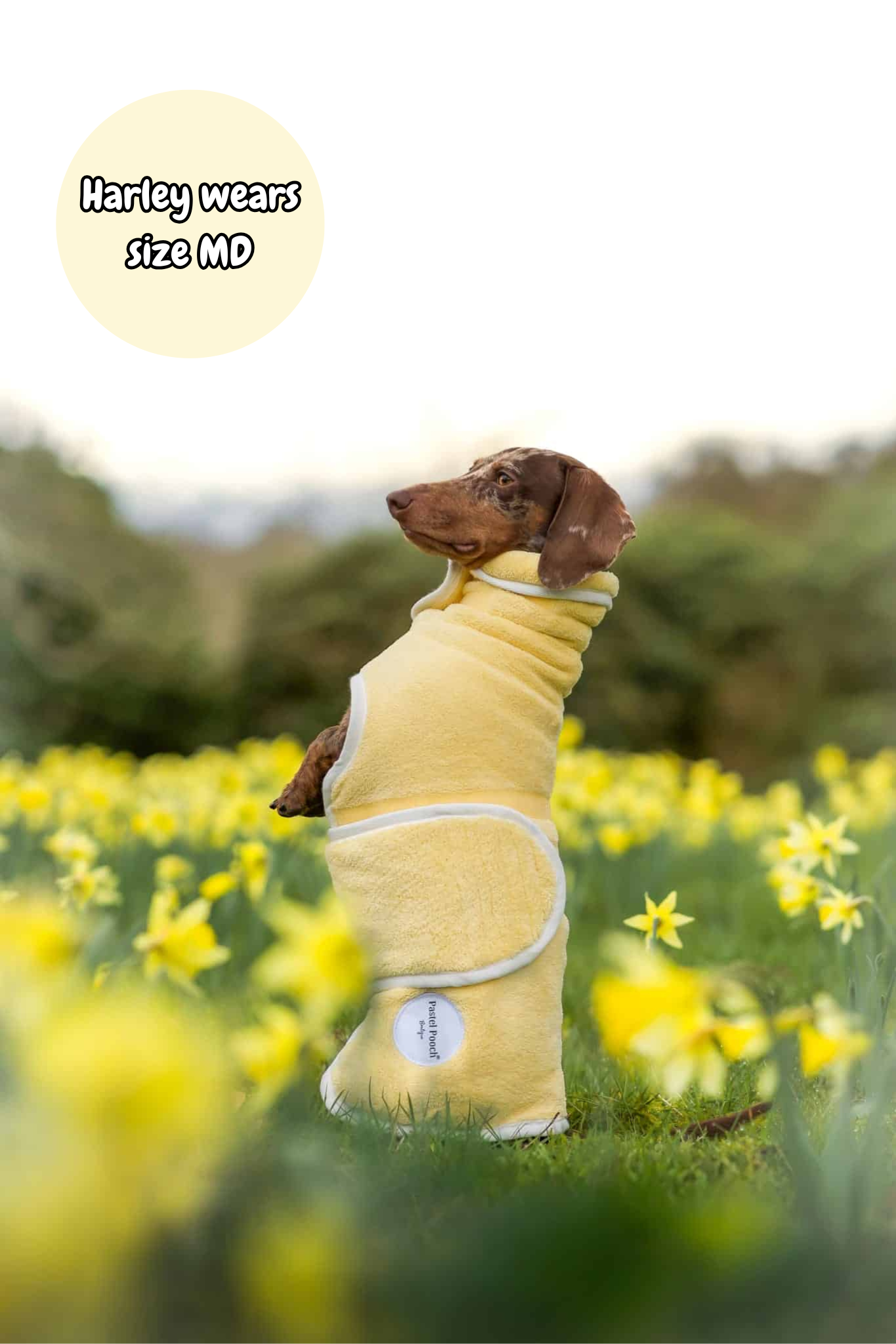 Pastel Pooch Boutique ® Dog Drying Coat