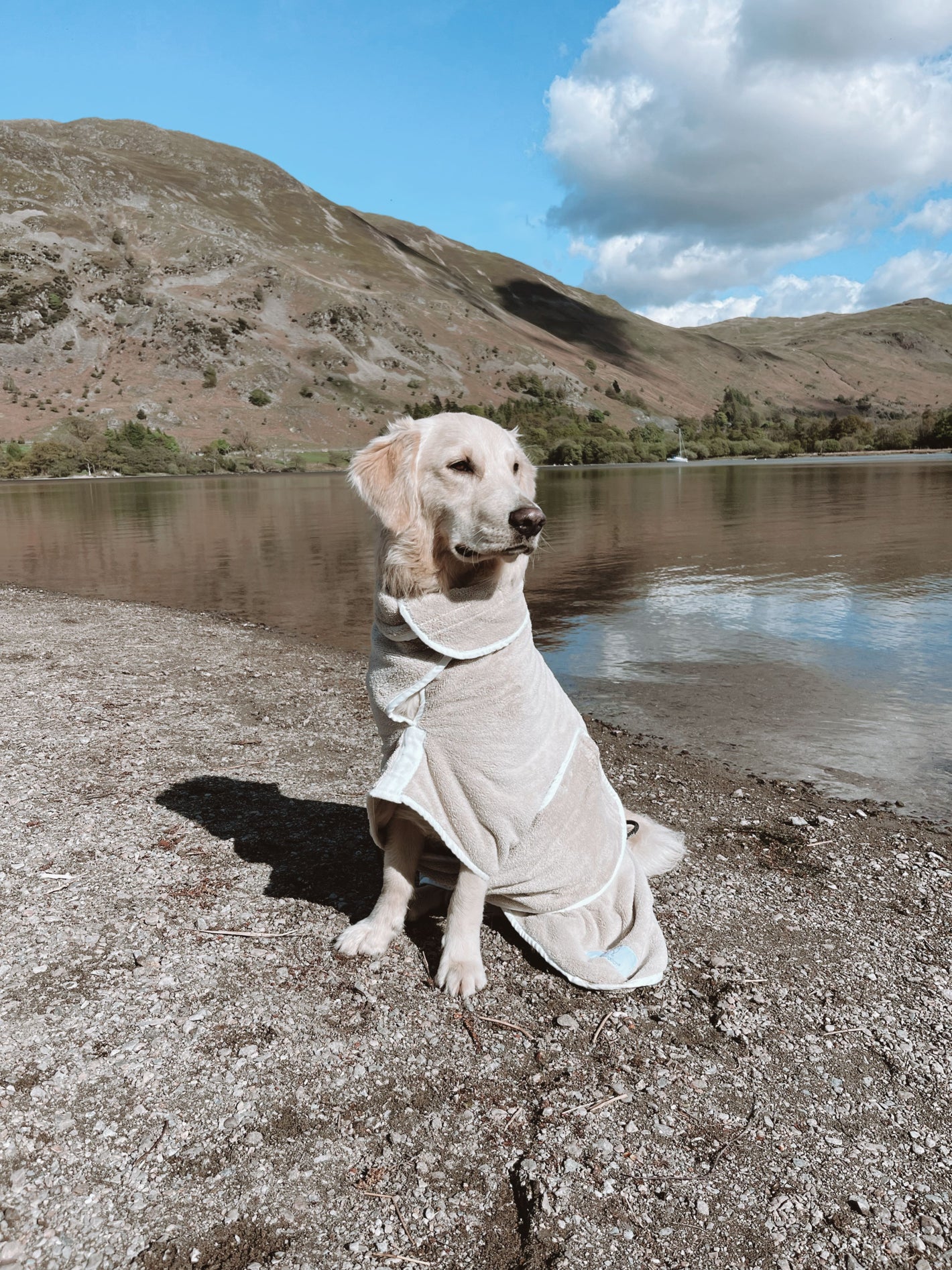 Pastel Pooch Boutique Dog Drying Coats