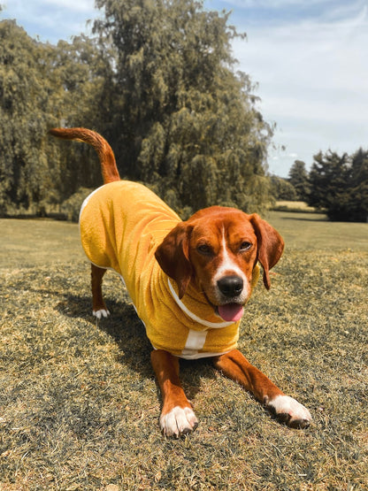 Pastel Pooch Boutique ® Dog Drying Coat (Gen 1 - The Original) Clearance Sale