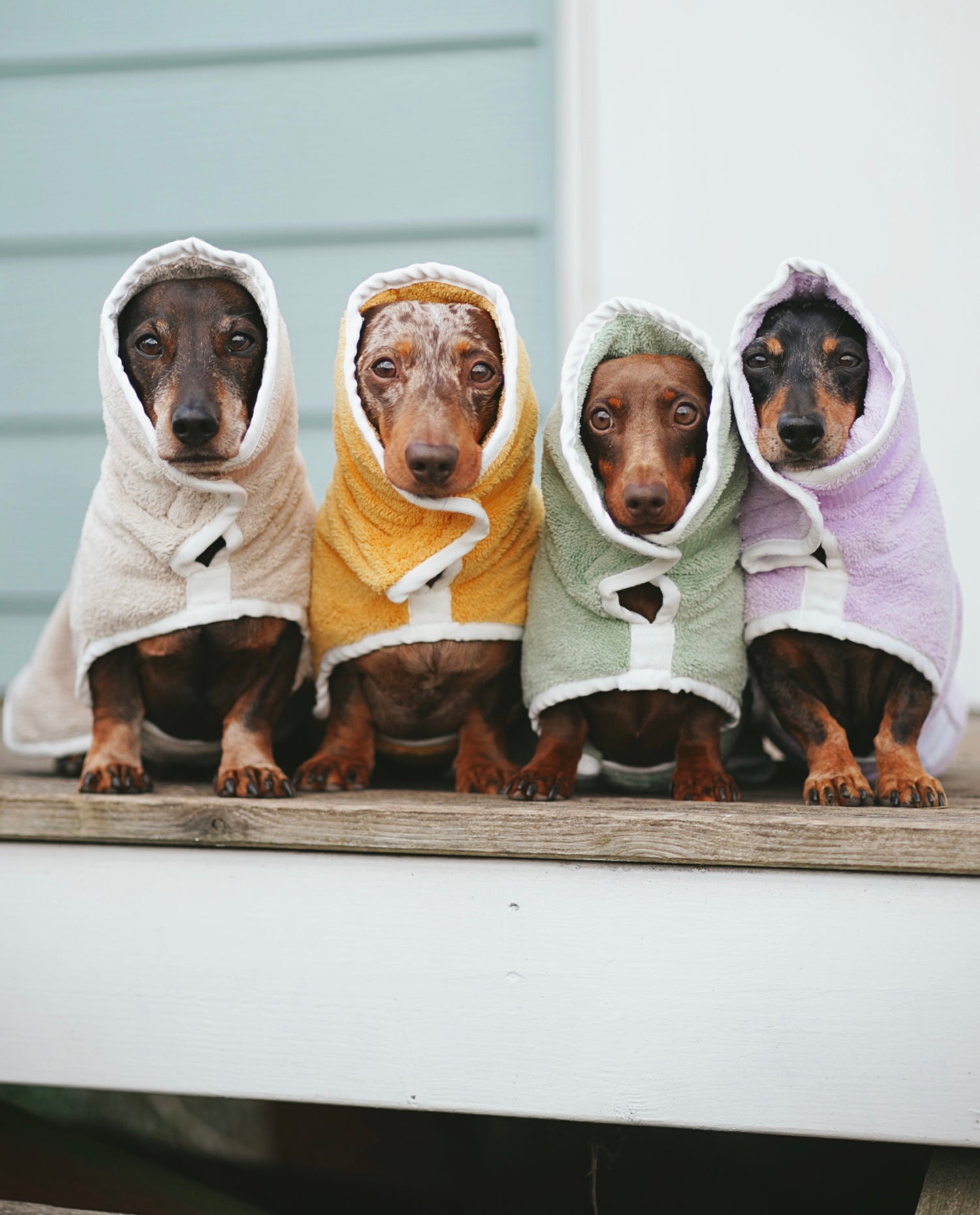 Pastel Pooch Boutique Dog Drying Coats