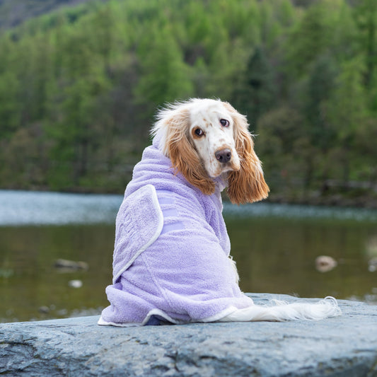 Pastel Pooch® Dog Drying Coat (Lilac)