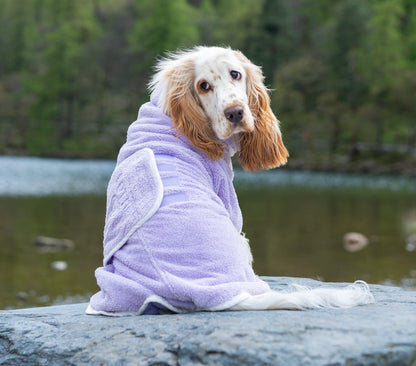 Spaniel in Lilac Drying Robe