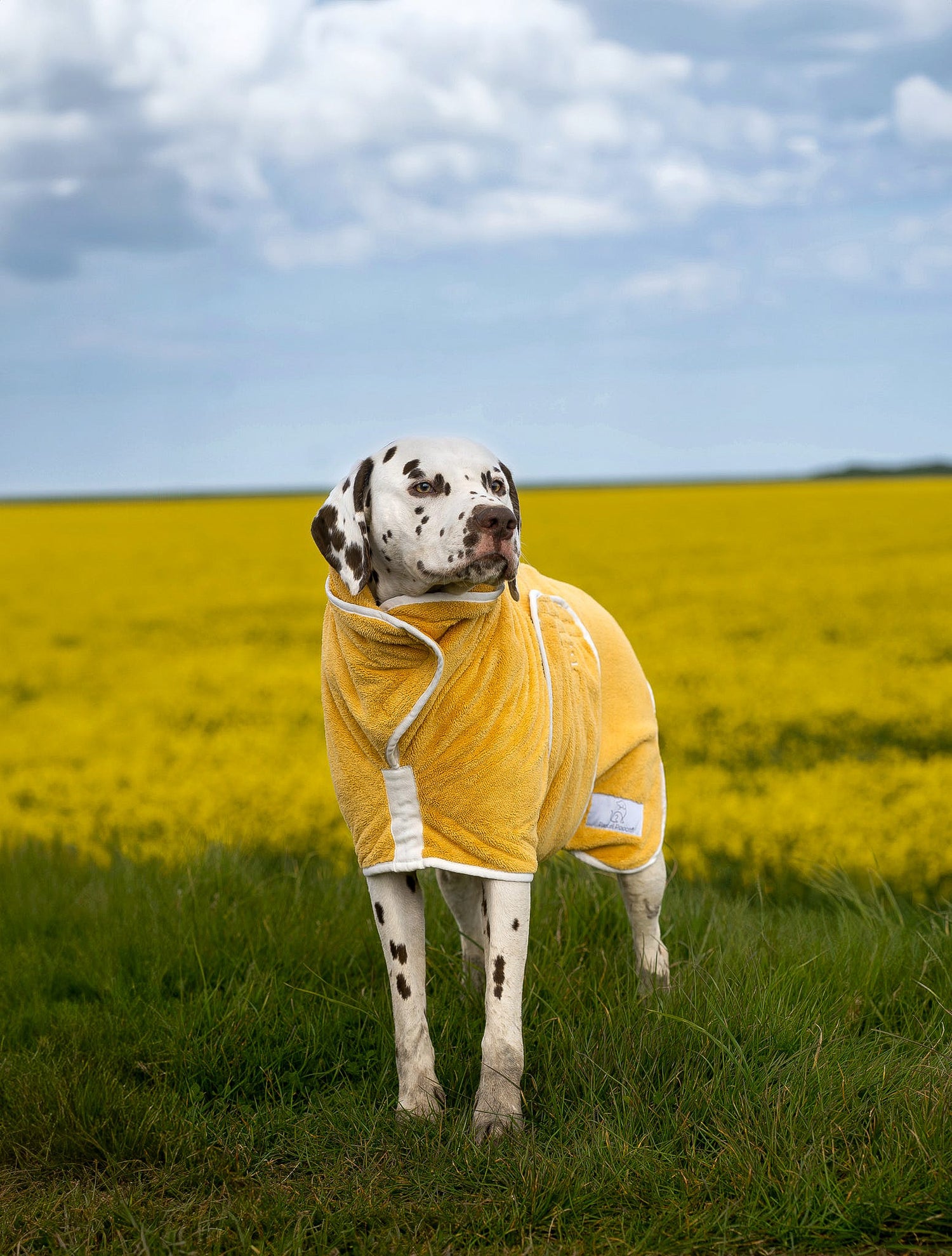 Pastel Pooch® Dog Drying Coat (Gen 1)