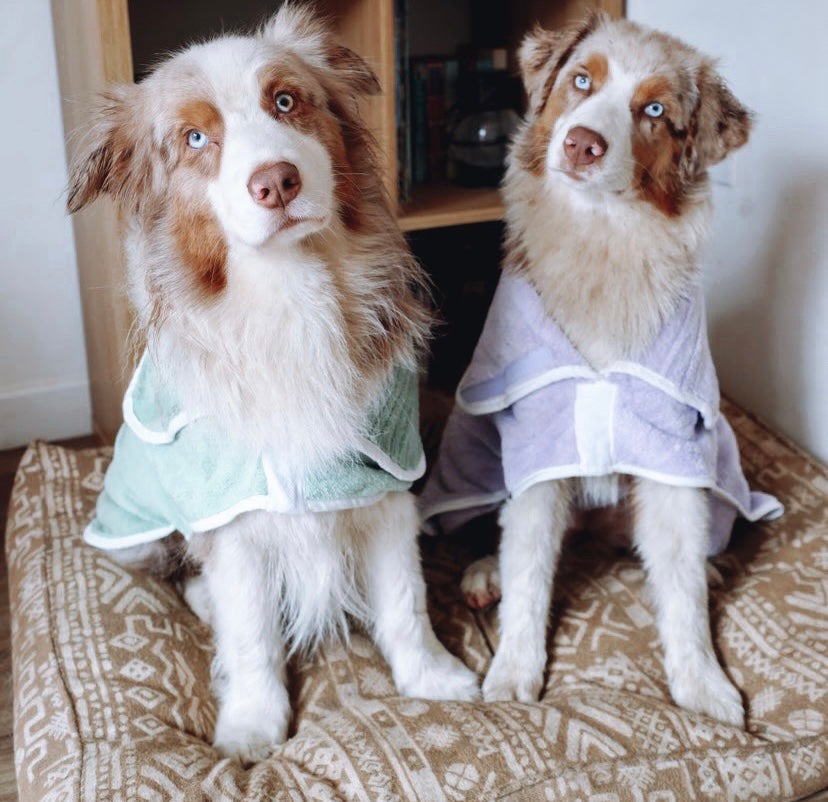 Pastel Pooch Boutique ® Dog Drying Coat (Gen 1 - The Original) Clearance Sale