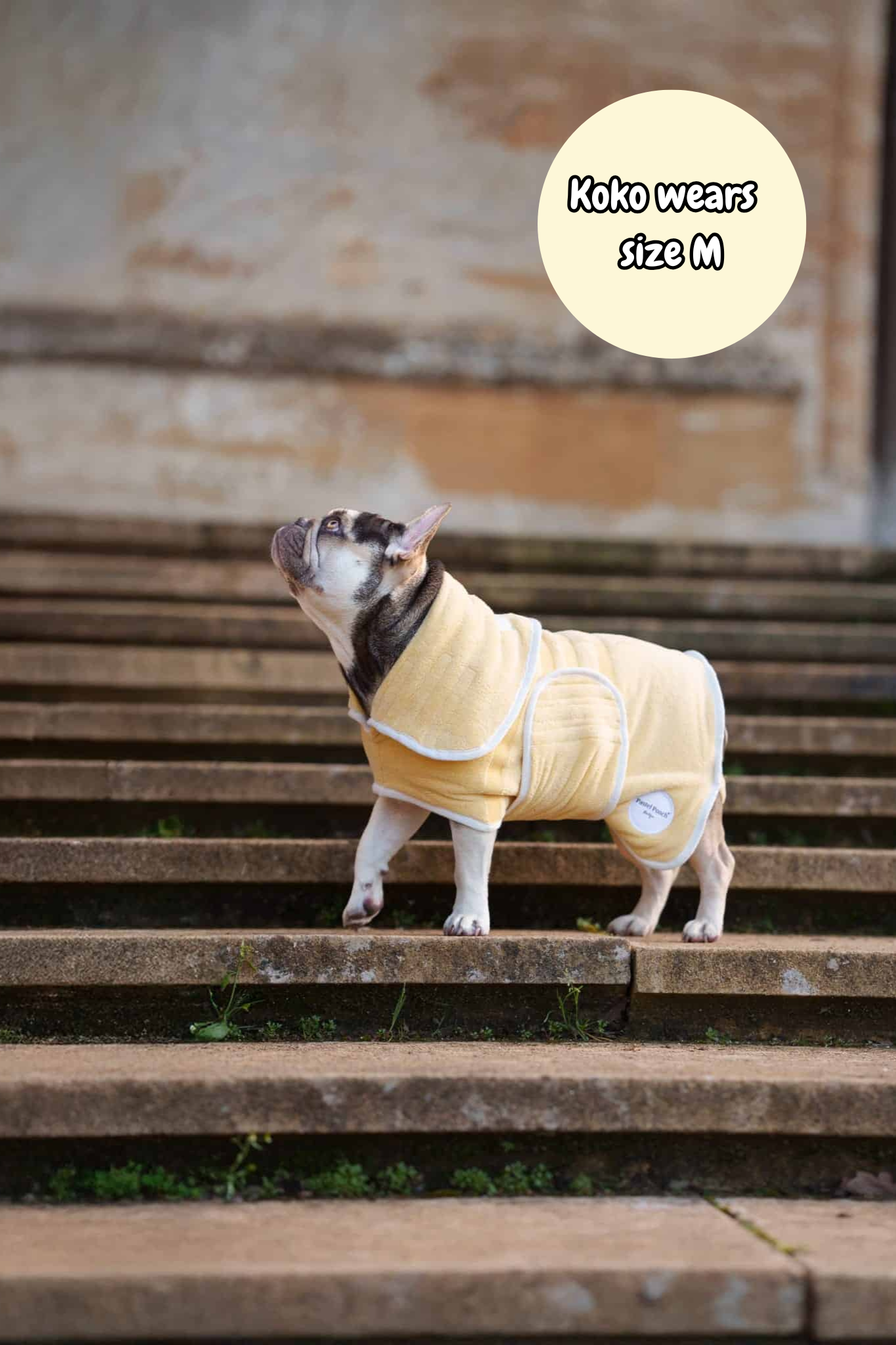 Pastel Pooch Boutique ® Dog Drying Coat