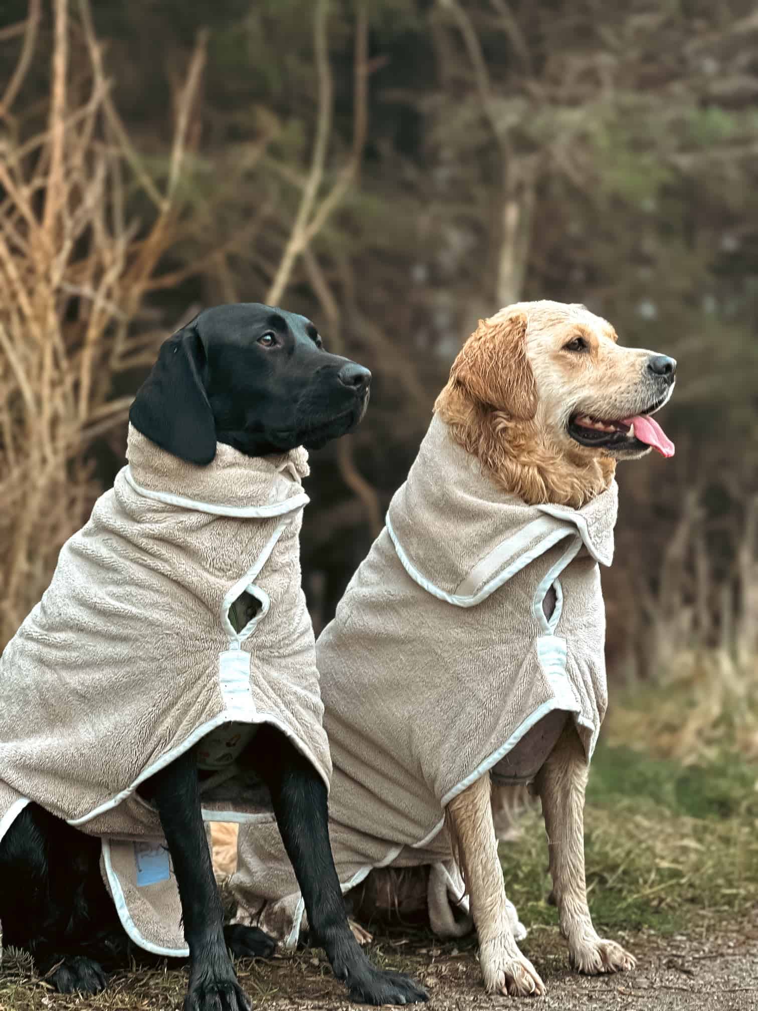 Latte Dog Bathrobe