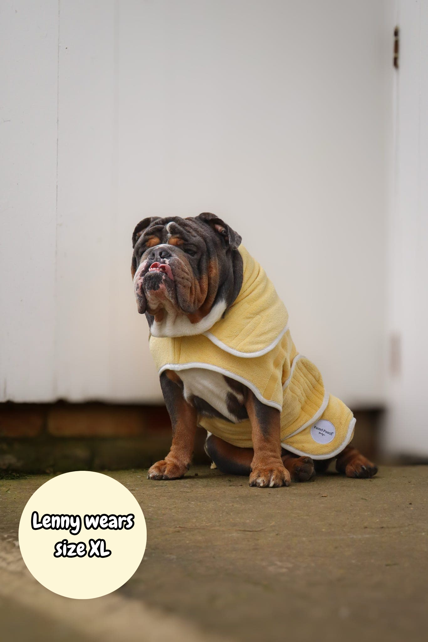 Pastel Pooch Boutique ® Dog Drying Coat