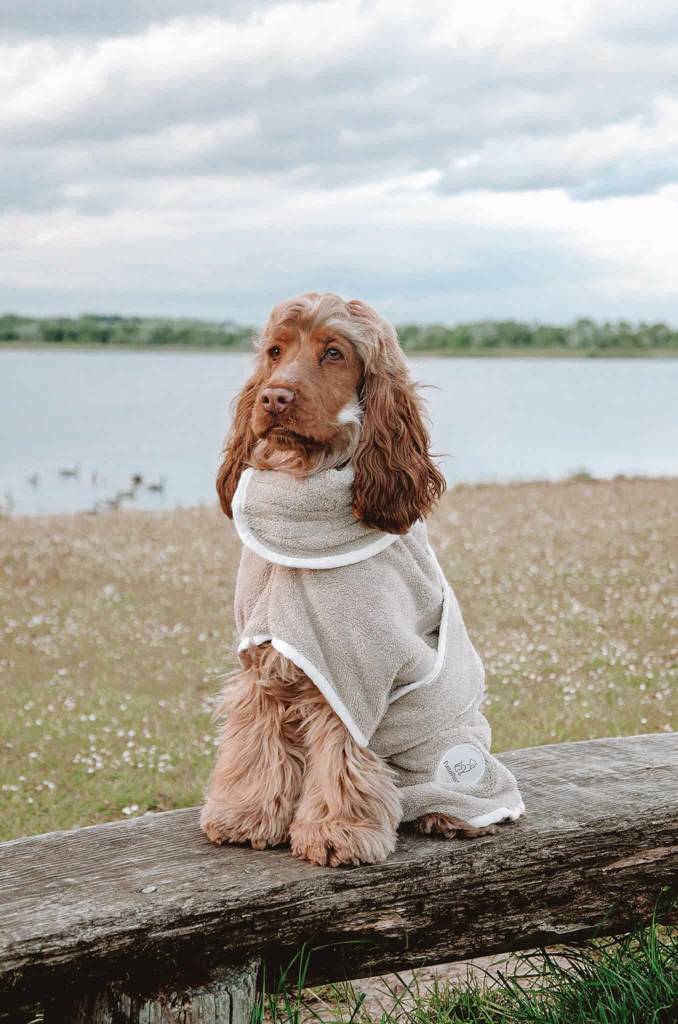 Medium Drying Coat Latte