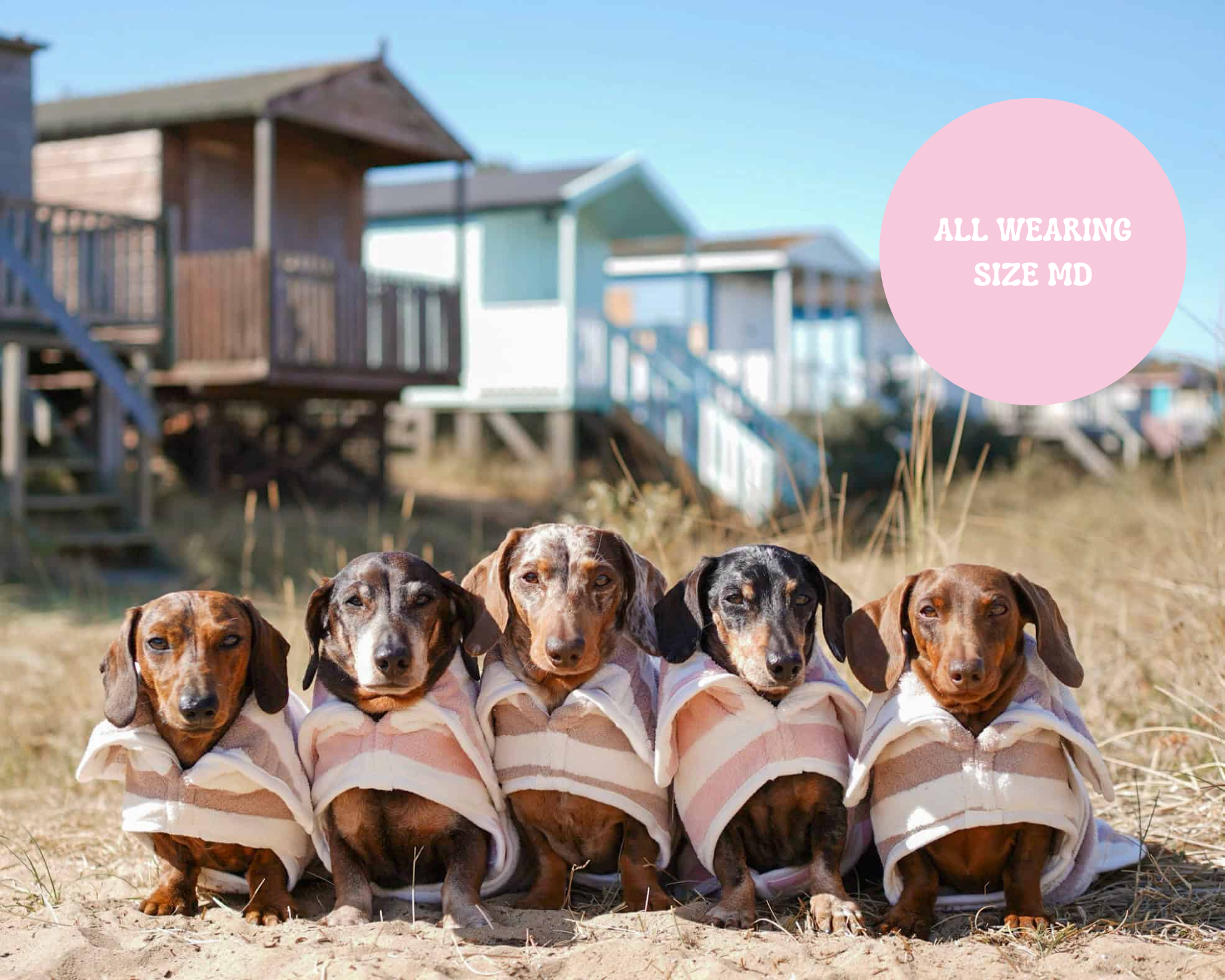 The Striped Collection - Luxury Dog Drying Robes
