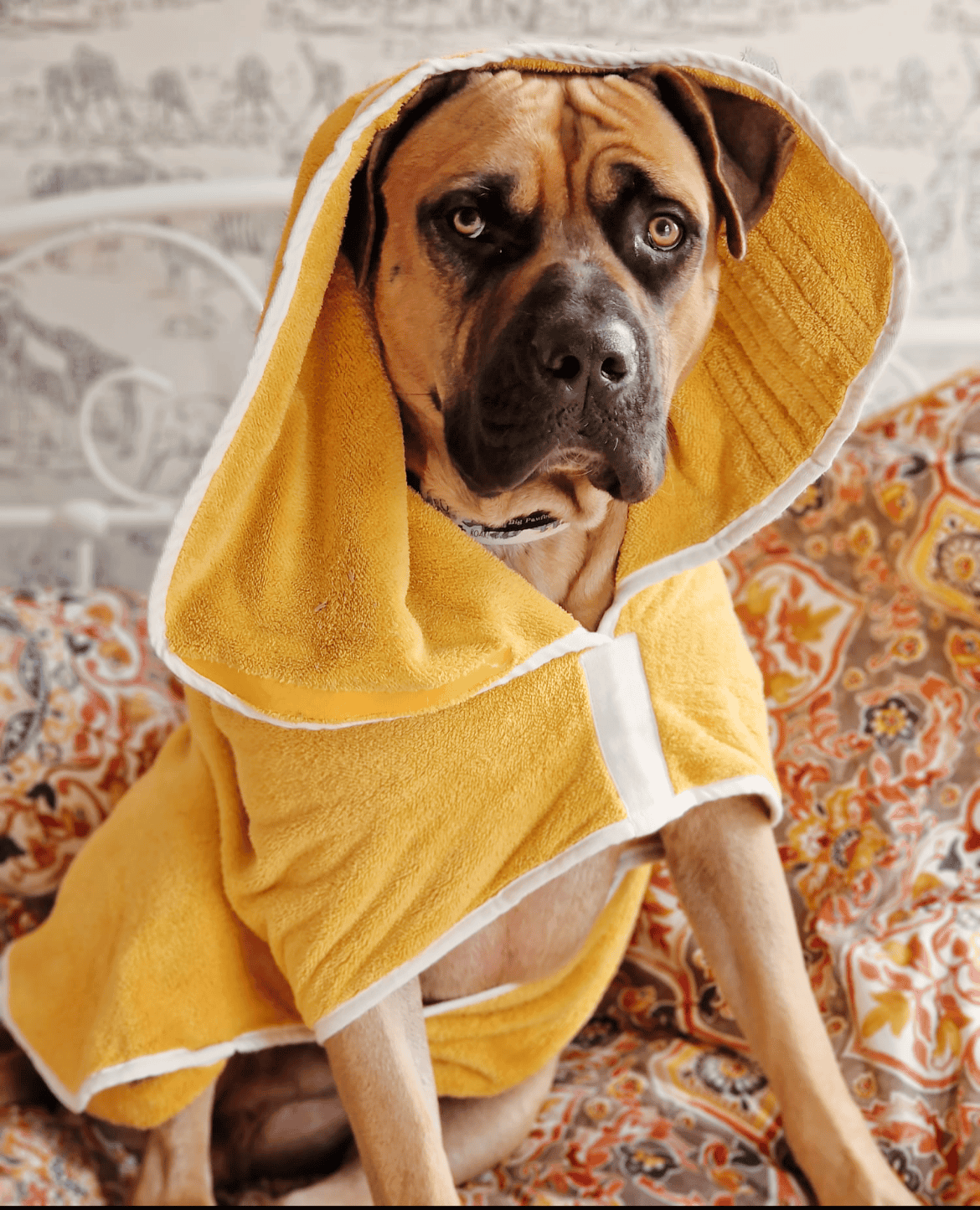 Mustard Dog Drying Robe