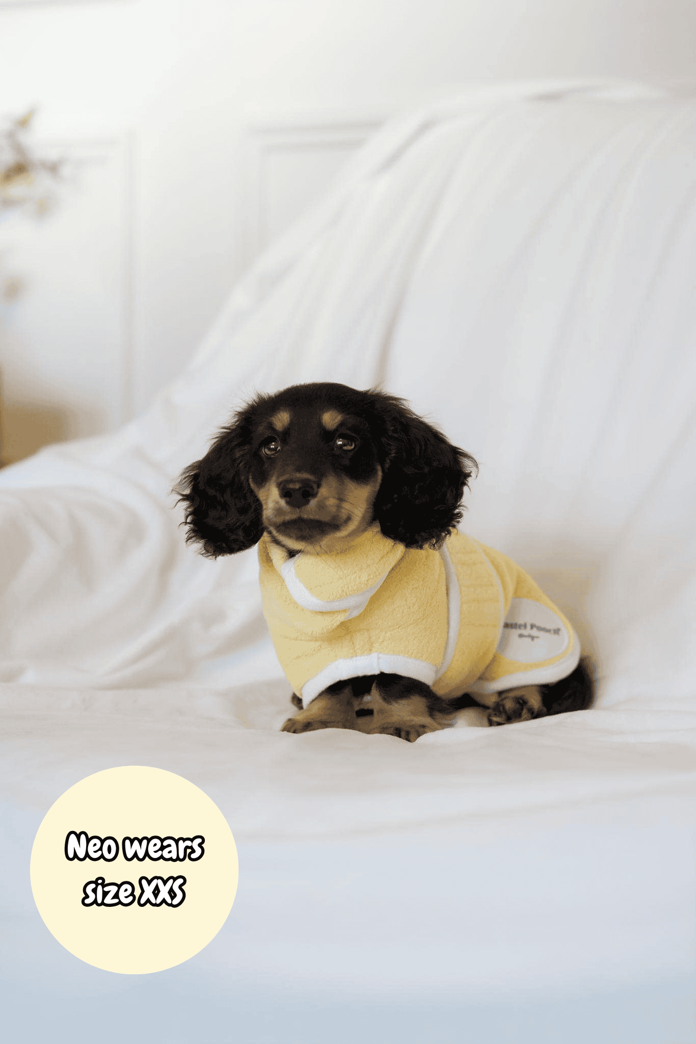 Pastel Pooch Boutique ® Dog Drying Coat