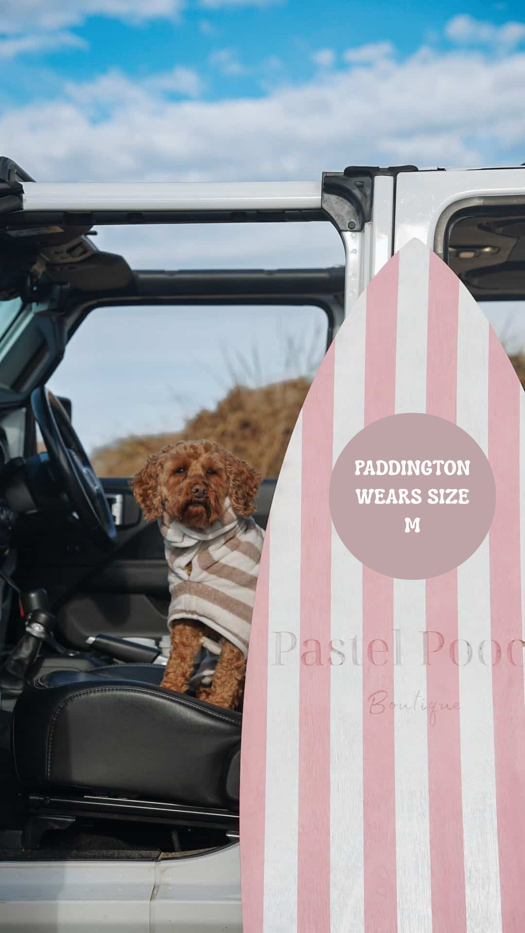 The Striped Collection - Luxury Dog Drying Robes