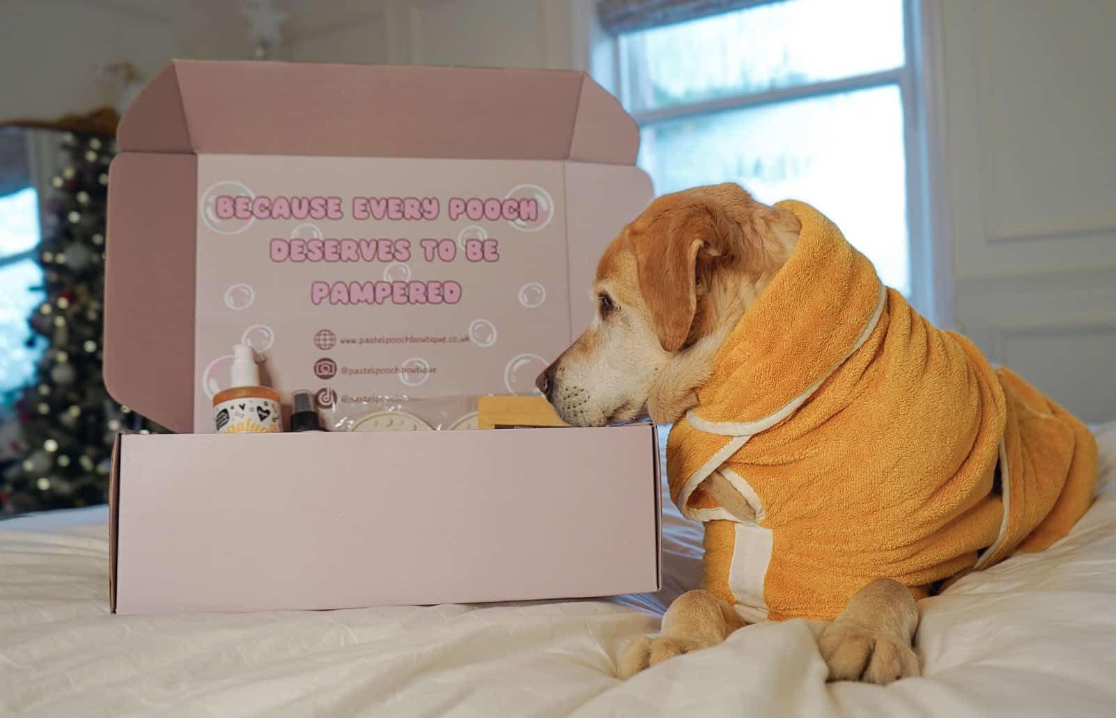 Pastel Pooch Pamper Box - Gen 1