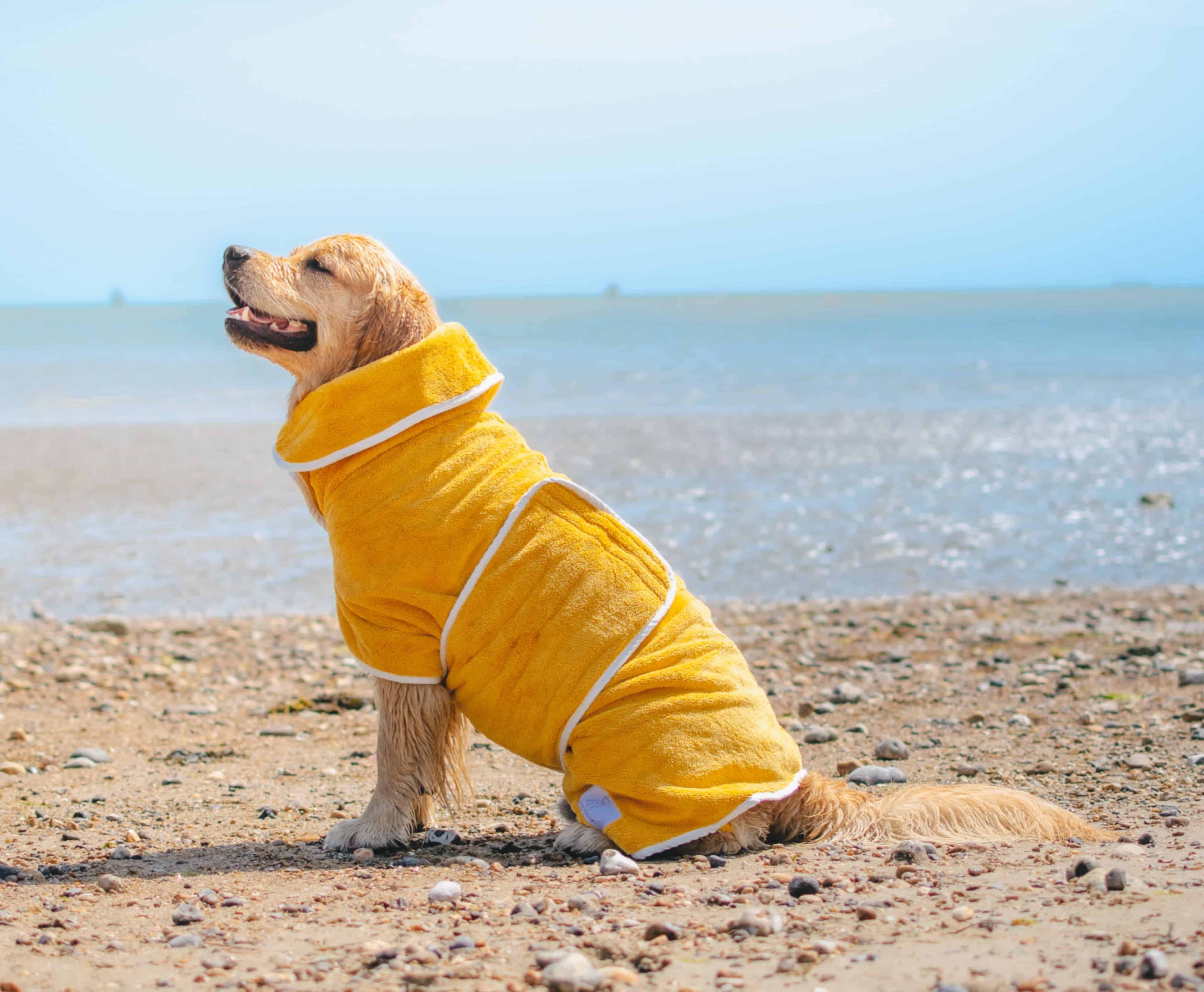 Mustard Dog Drying Coat