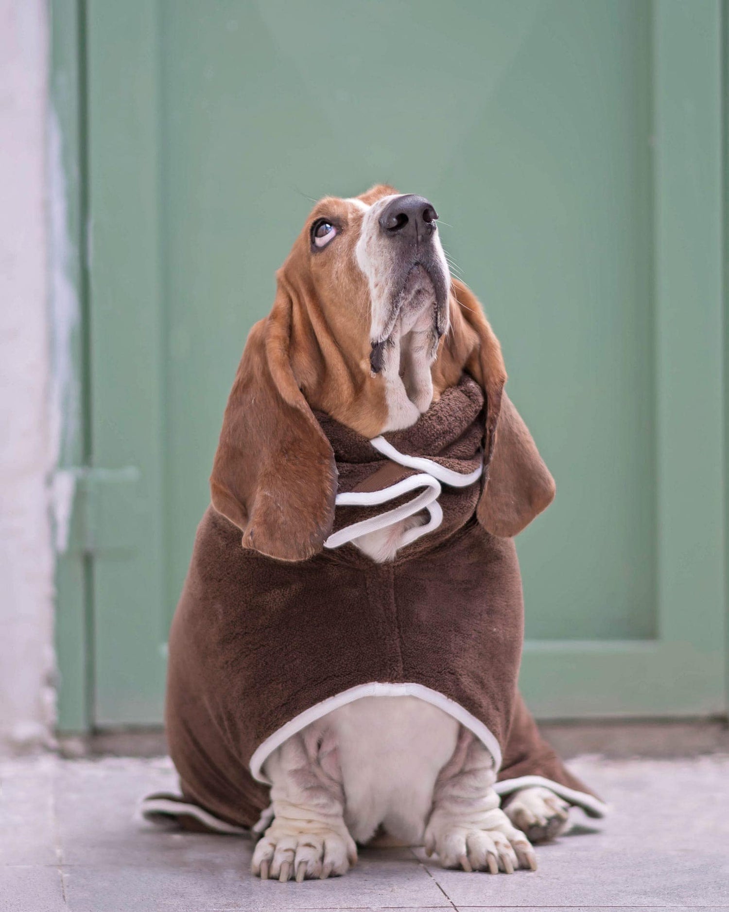 Pastel Pooch® Dog Drying Coat (Gen 2- The Modified)