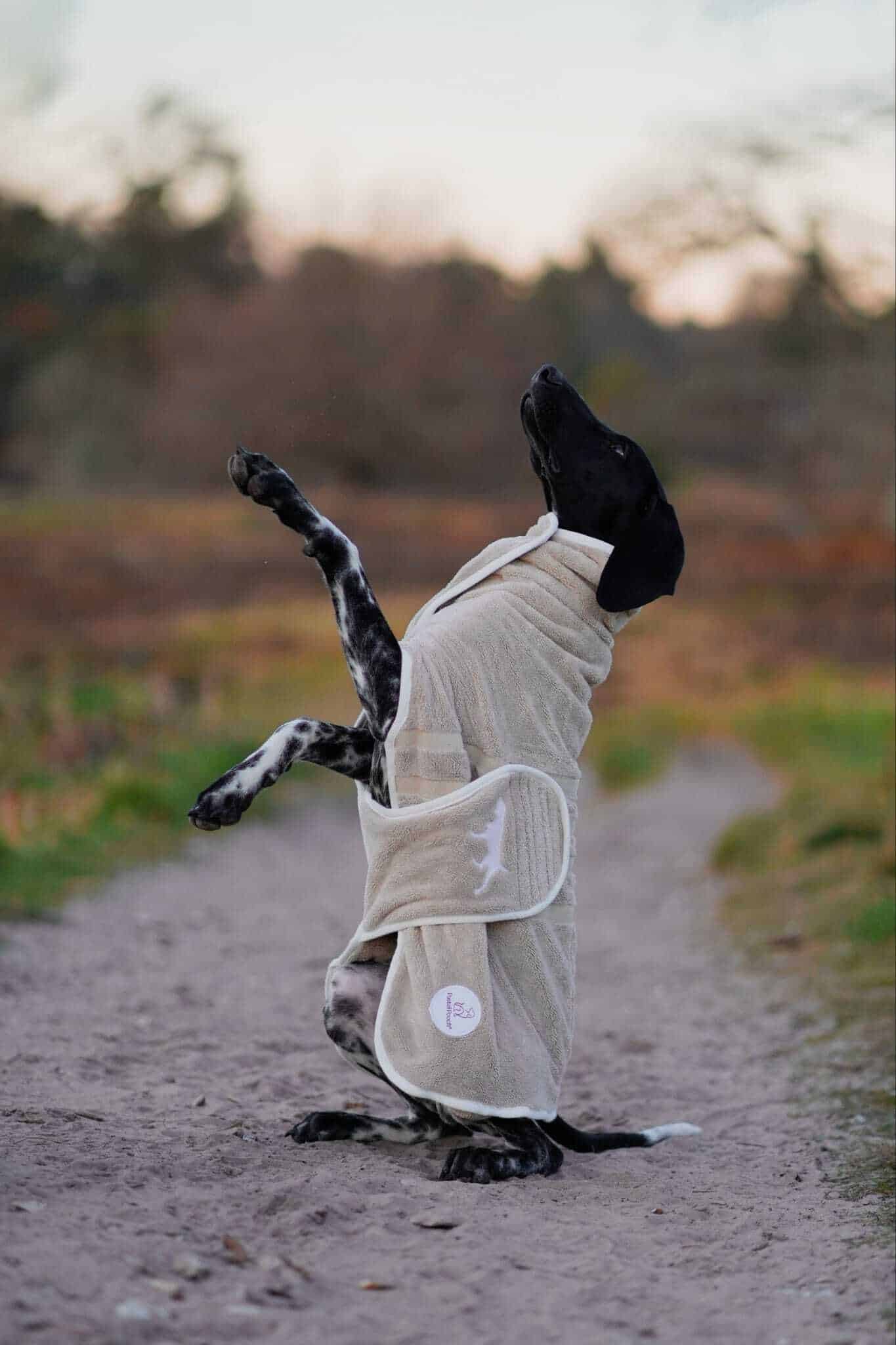 Pastel Pooch Boutique ® Dog Drying Coat