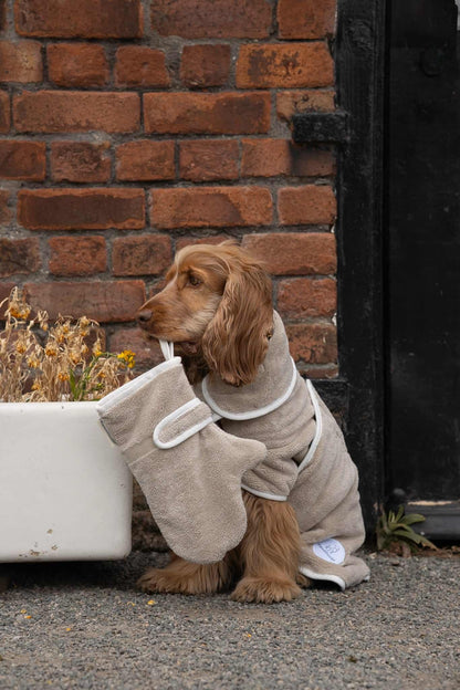 Dog Drying Gloves