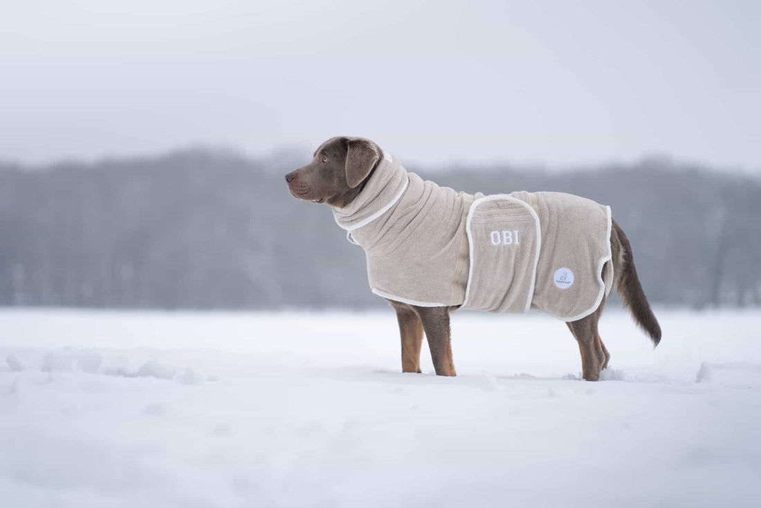 Pastel Pooch Boutique ® Dog Drying Coat