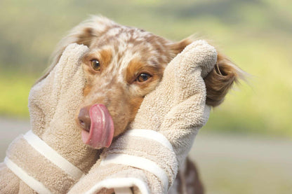 Dog Drying Gloves