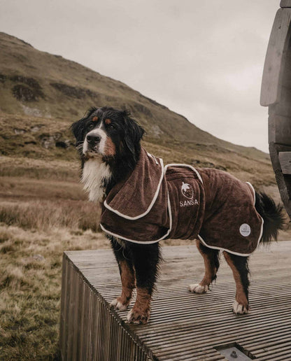 Dog wearing a brown coat with &