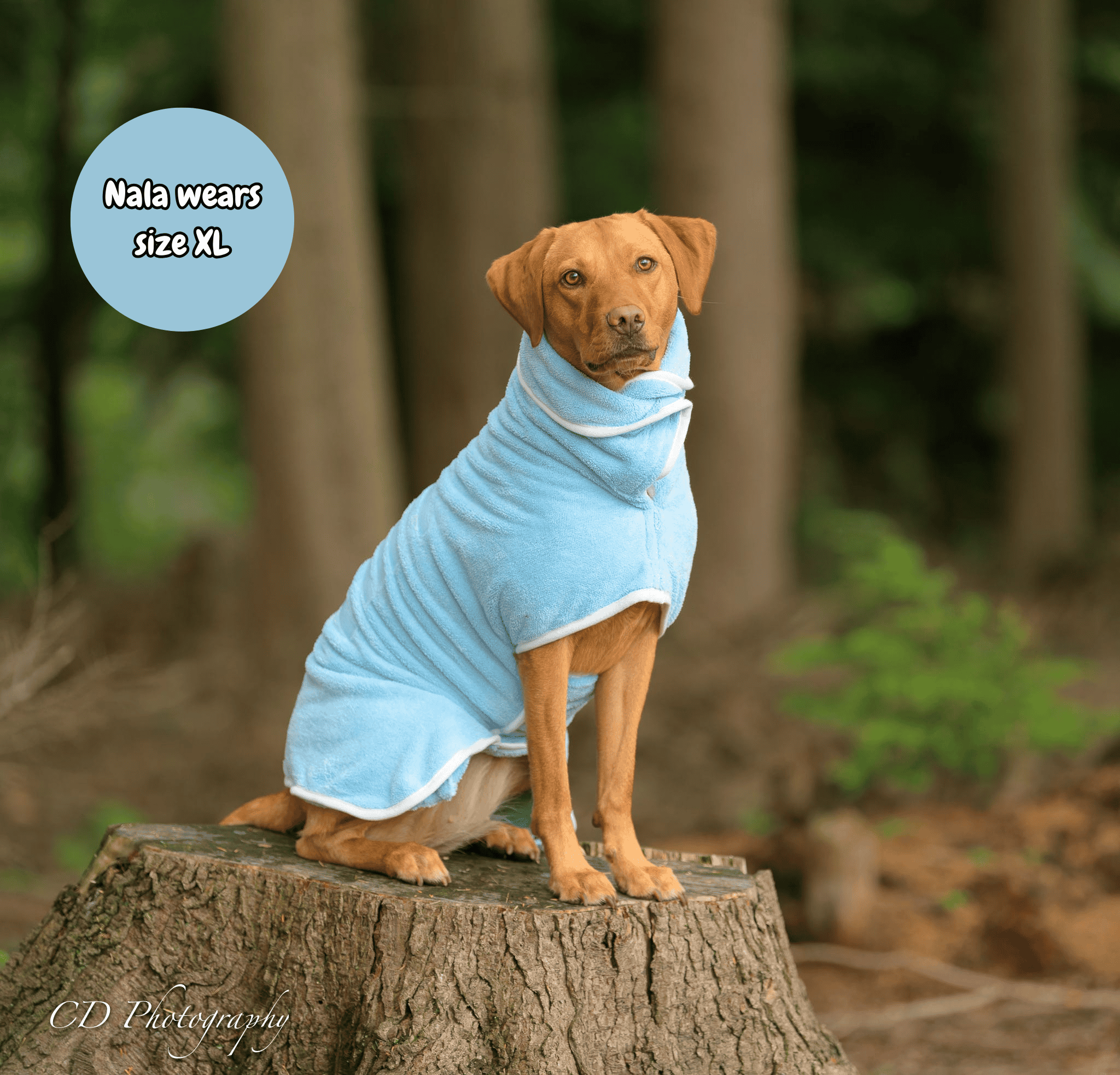Pastel Pooch Boutique ® Dog Drying Coat