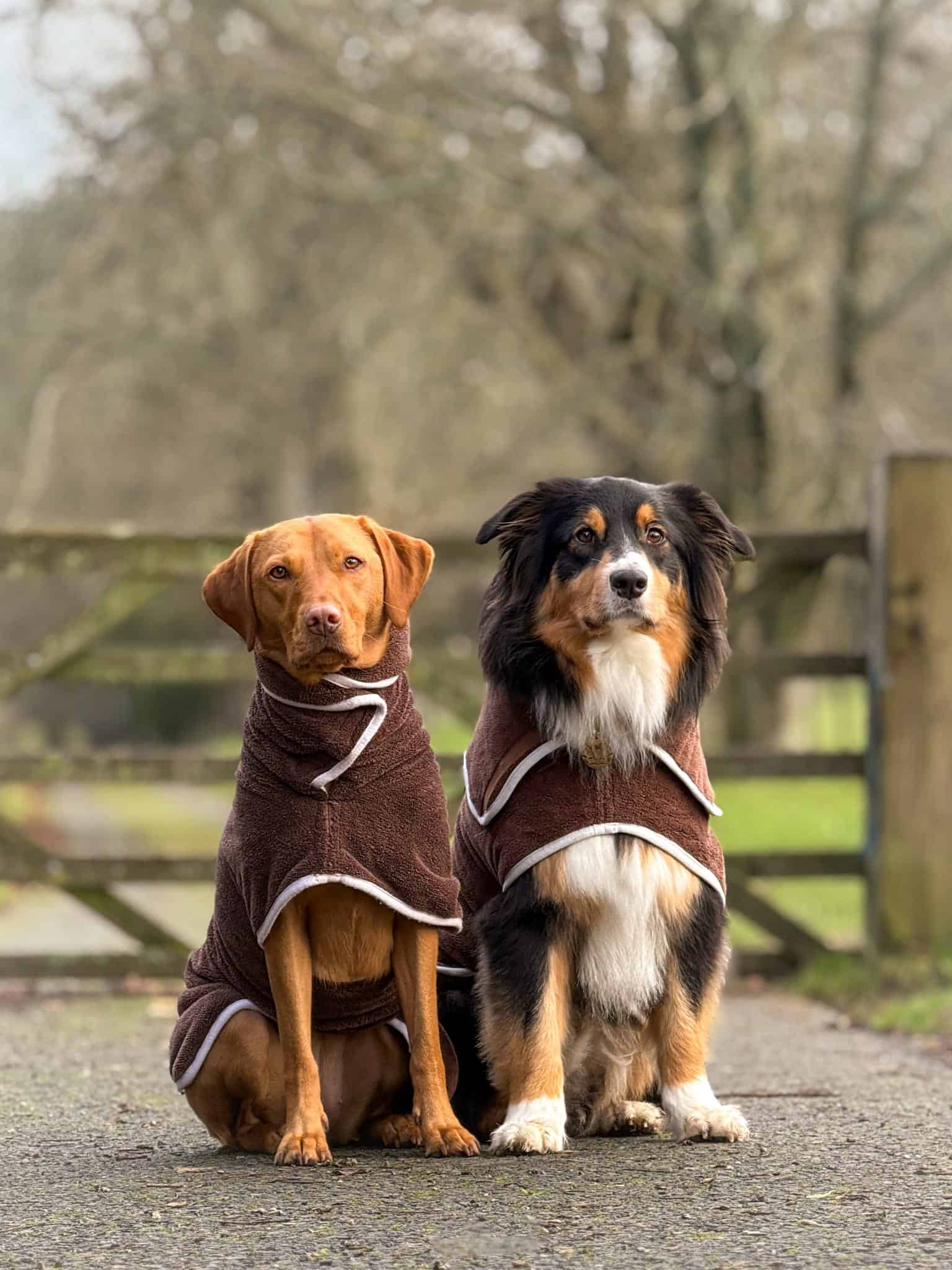 Pastel Pooch Boutique ® Dog Drying Coat