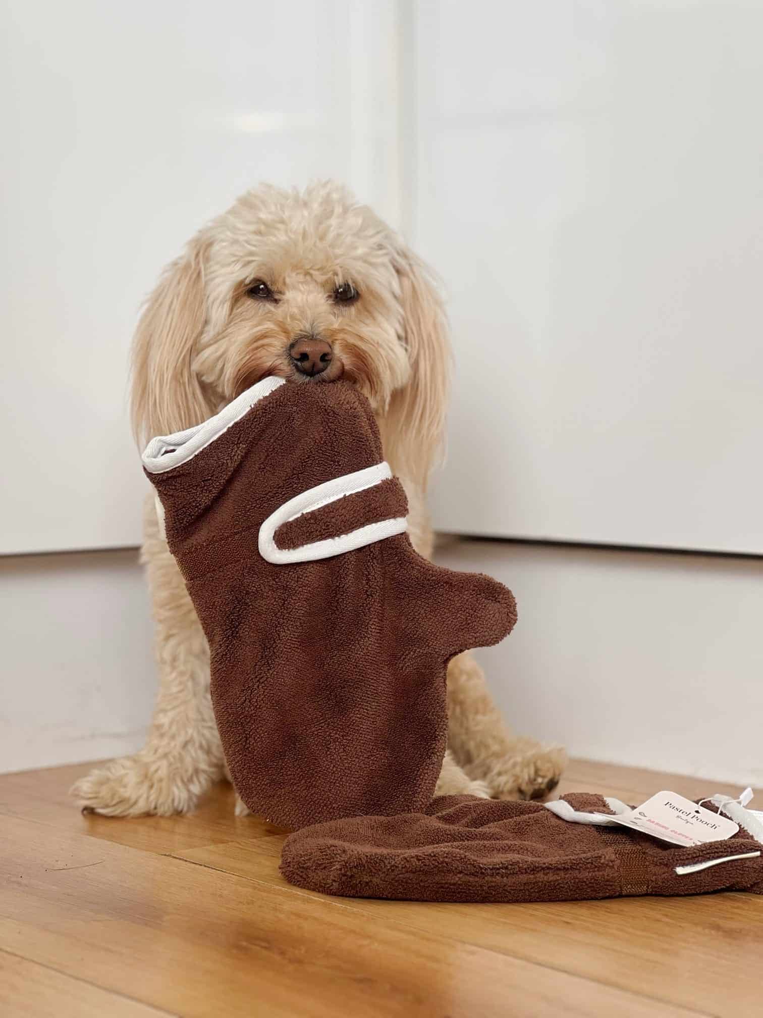 Dog Drying Gloves