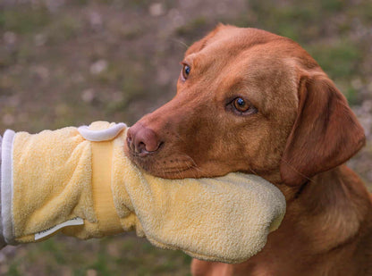 Pastel Pooch Boutique ® Dog Drying Gloves
