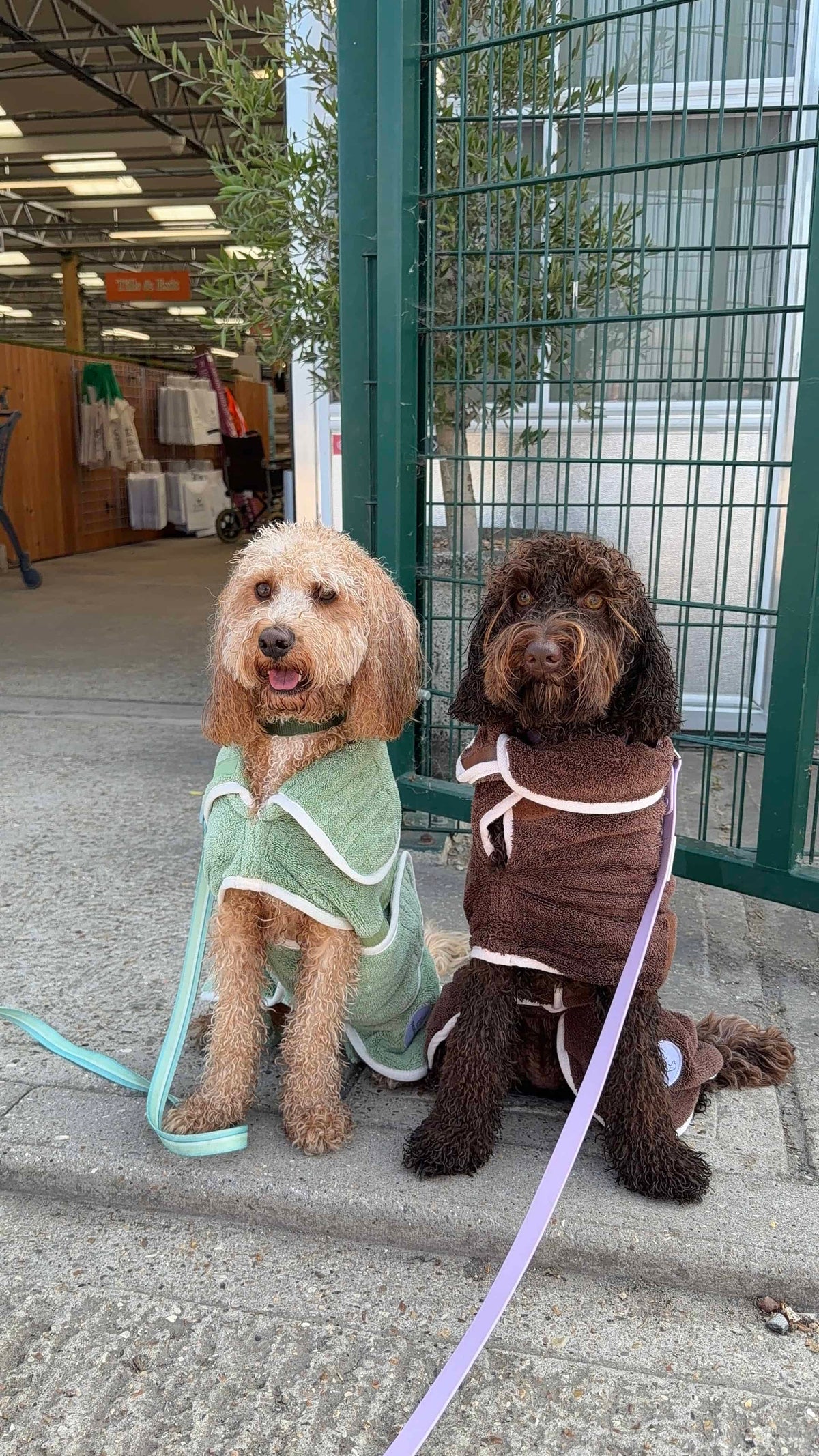 Pastel Pooch Boutique ® Dog Drying Coat
