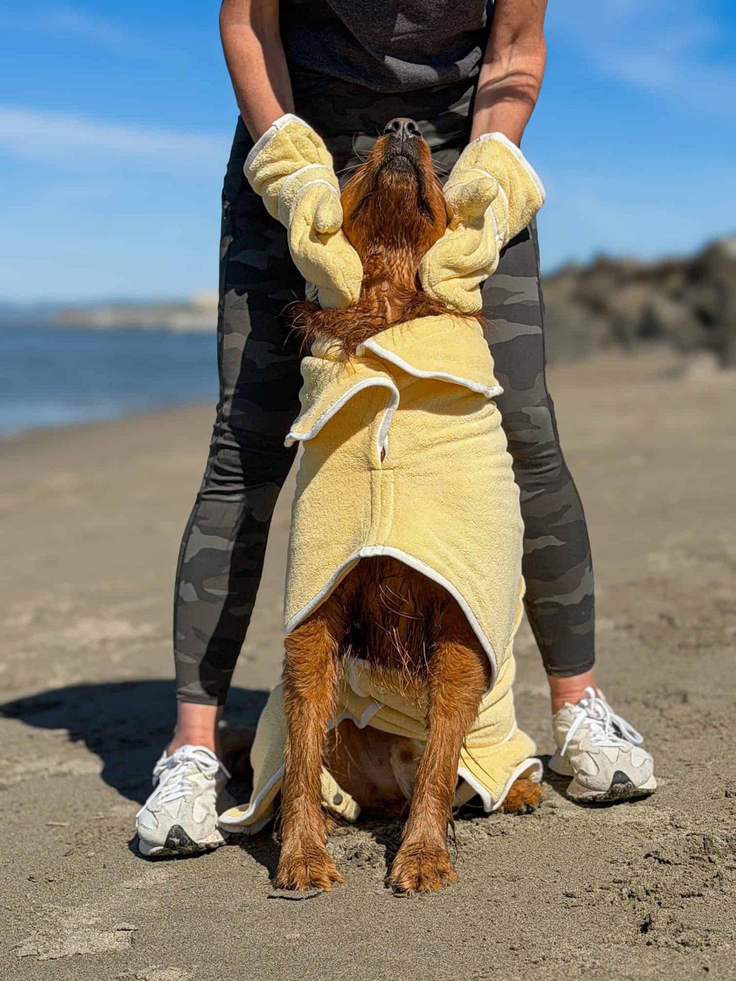 Pastel Pooch Boutique ® Dog Drying Gloves